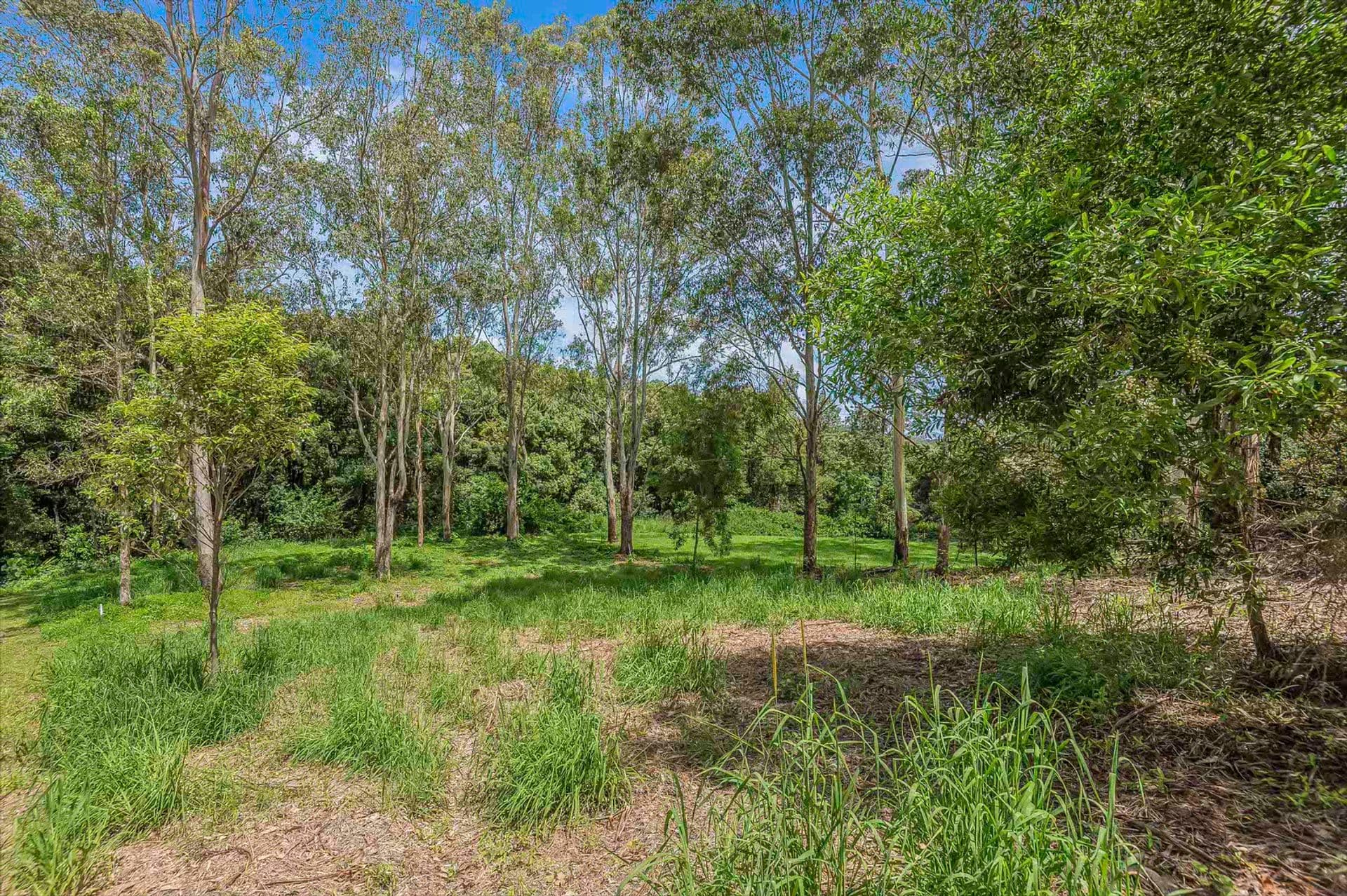 27 Forestoak Way, Goonellabah, NSW, 2480, Goonellabah - Thumbnail 5
