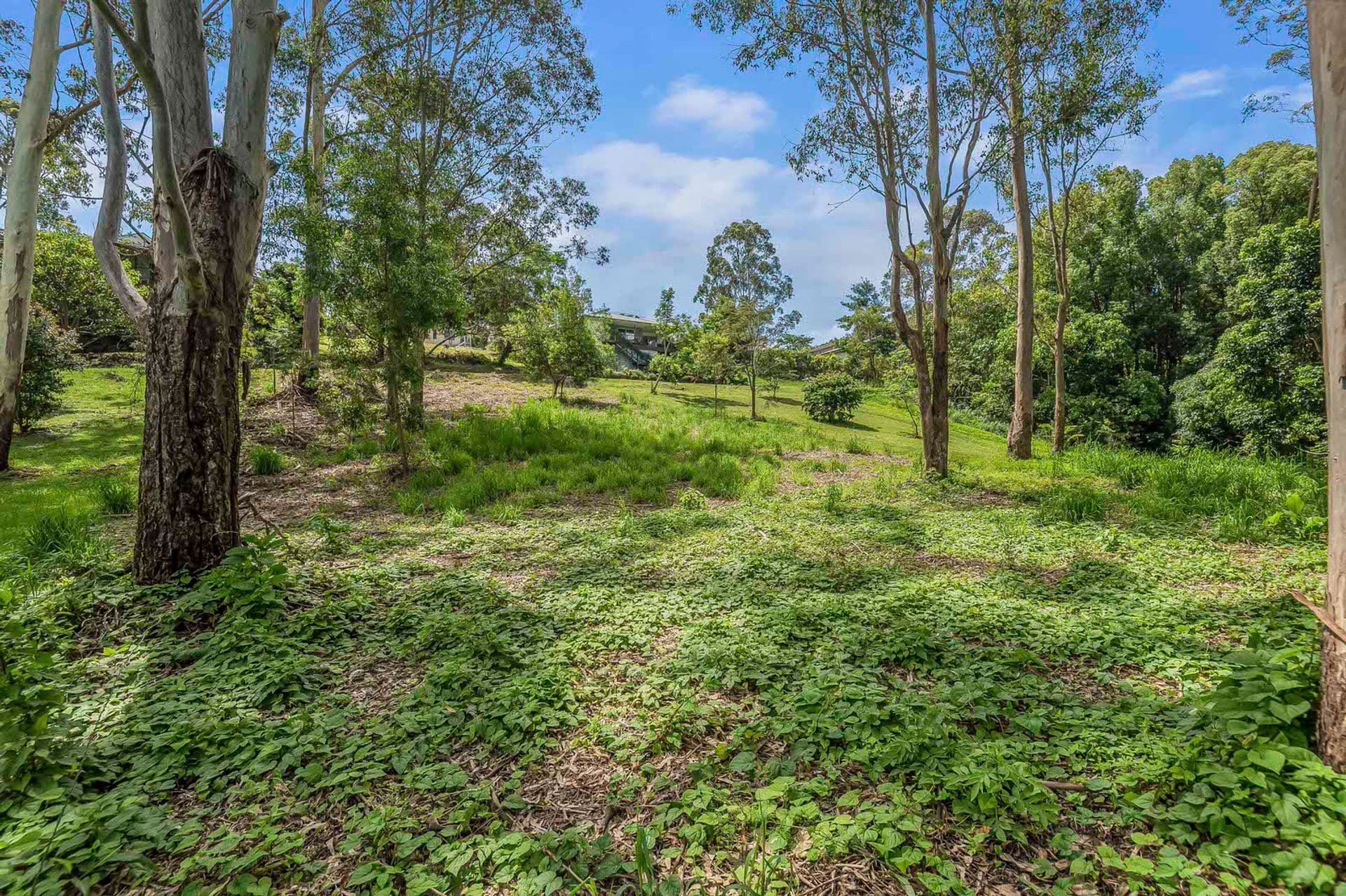 27 Forestoak Way, Goonellabah, NSW, 2480, Goonellabah - Thumbnail 6