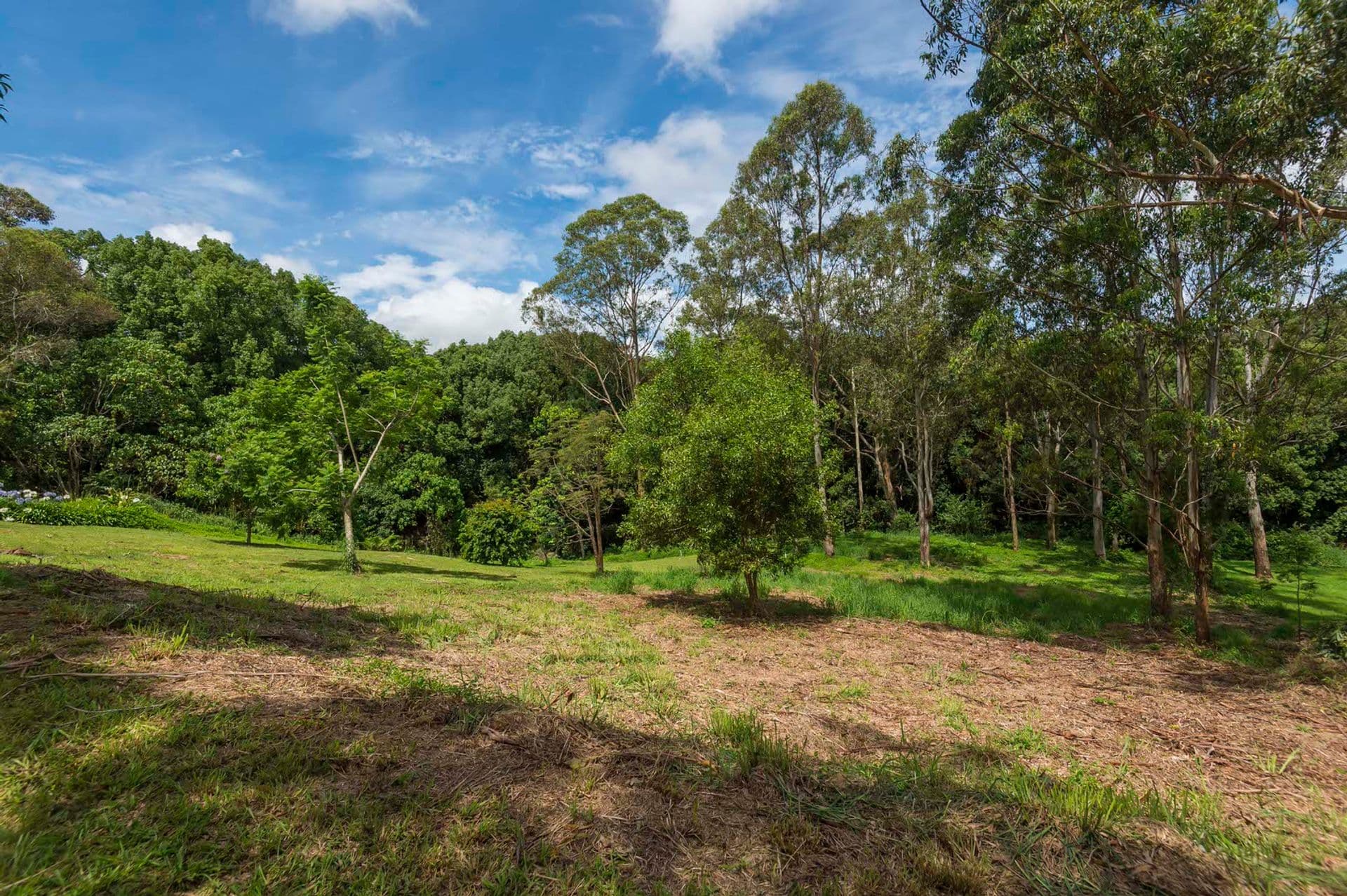 27 Forestoak Way, Goonellabah, NSW, 2480, Goonellabah - Thumbnail 7
