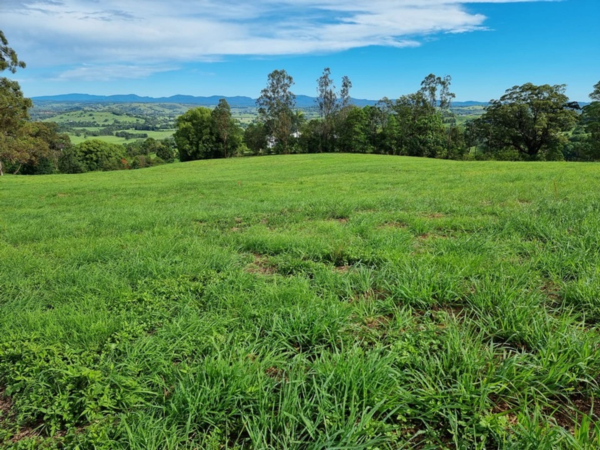 22 Lincoln Avenue, McLeans Ridges, NSW, 2480, McLeans Ridges - Image 1