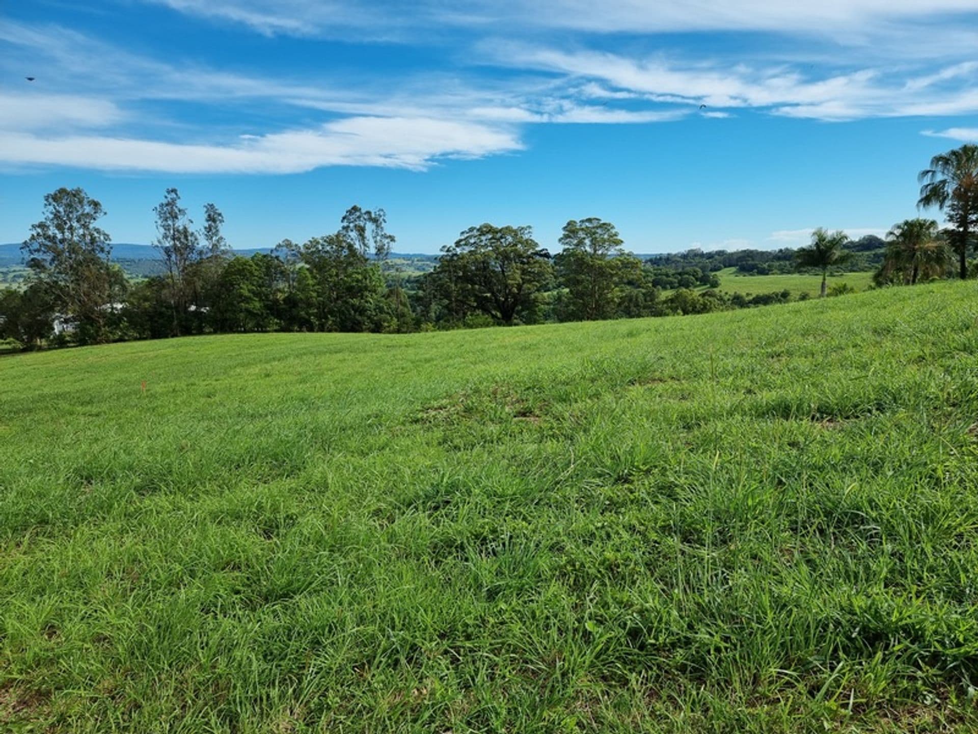 22 Lincoln Avenue, McLeans Ridges, NSW, 2480, McLeans Ridges - Thumbnail 4
