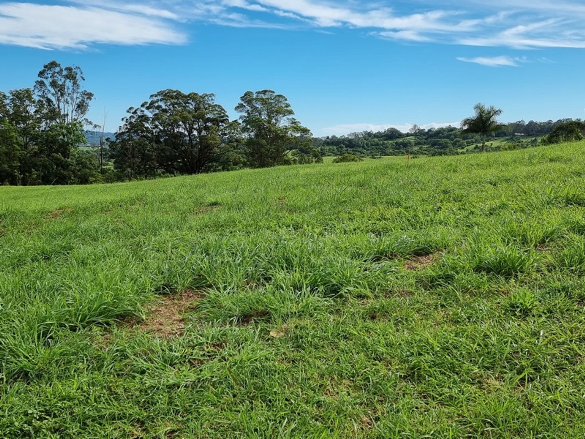 22 Lincoln Avenue, McLeans Ridges, NSW, 2480, McLeans Ridges - Thumbnail 2