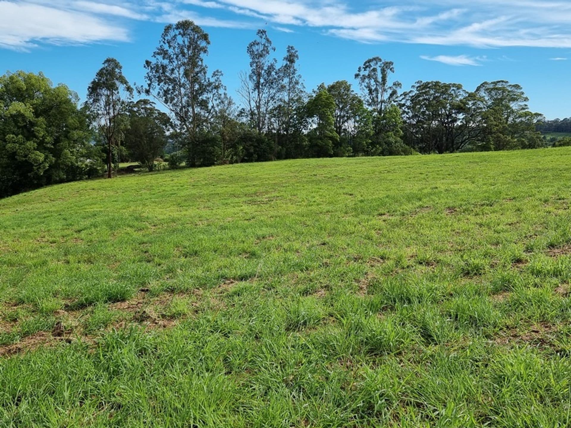 26 Lincoln Avenue, McLeans Ridges, NSW, 2480, McLeans Ridges - Thumbnail 4