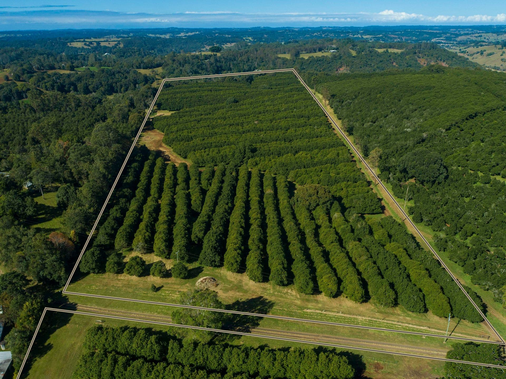 173 Fletcher Road, Dunoon, NSW, 2480, Dunoon - Thumbnail 3