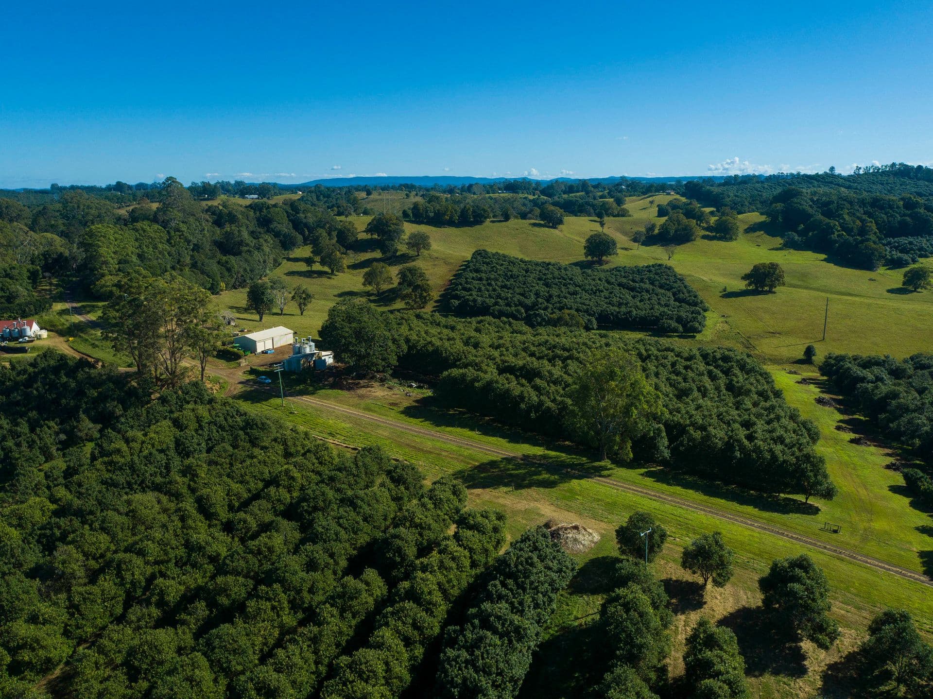 173 Fletcher Road, Dunoon, NSW, 2480, Dunoon - Thumbnail 5