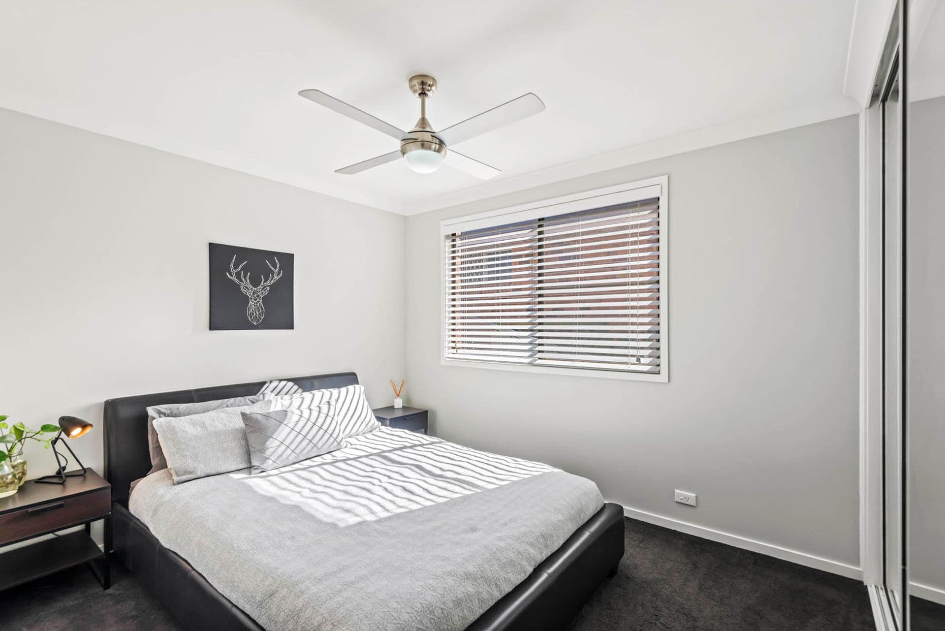 9 Homestead Avenue, Goonellabah, NSW, 2480, Goonellabah - Thumbnail 8