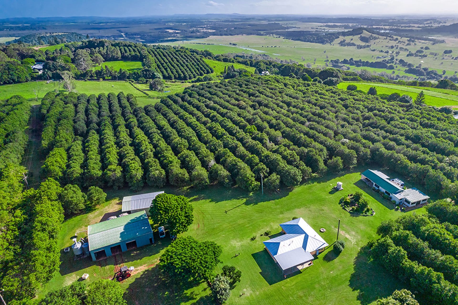 204 Cooks Lane, Dalwood, NSW, 2477, Dalwood - Image 1