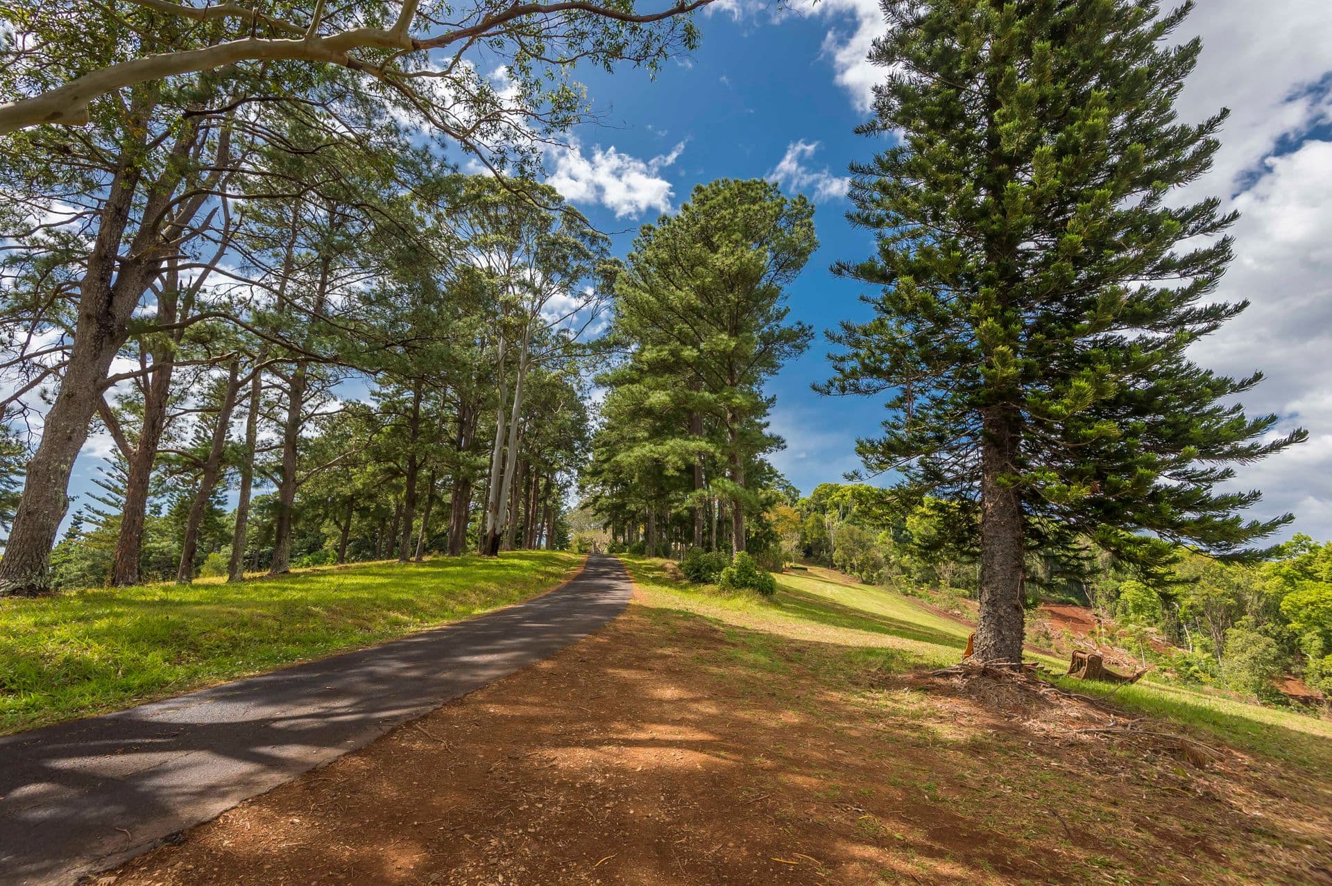 70 Pine Mountain Road, Possum Creek, NSW, 2479, Possum Creek - Thumbnail 4