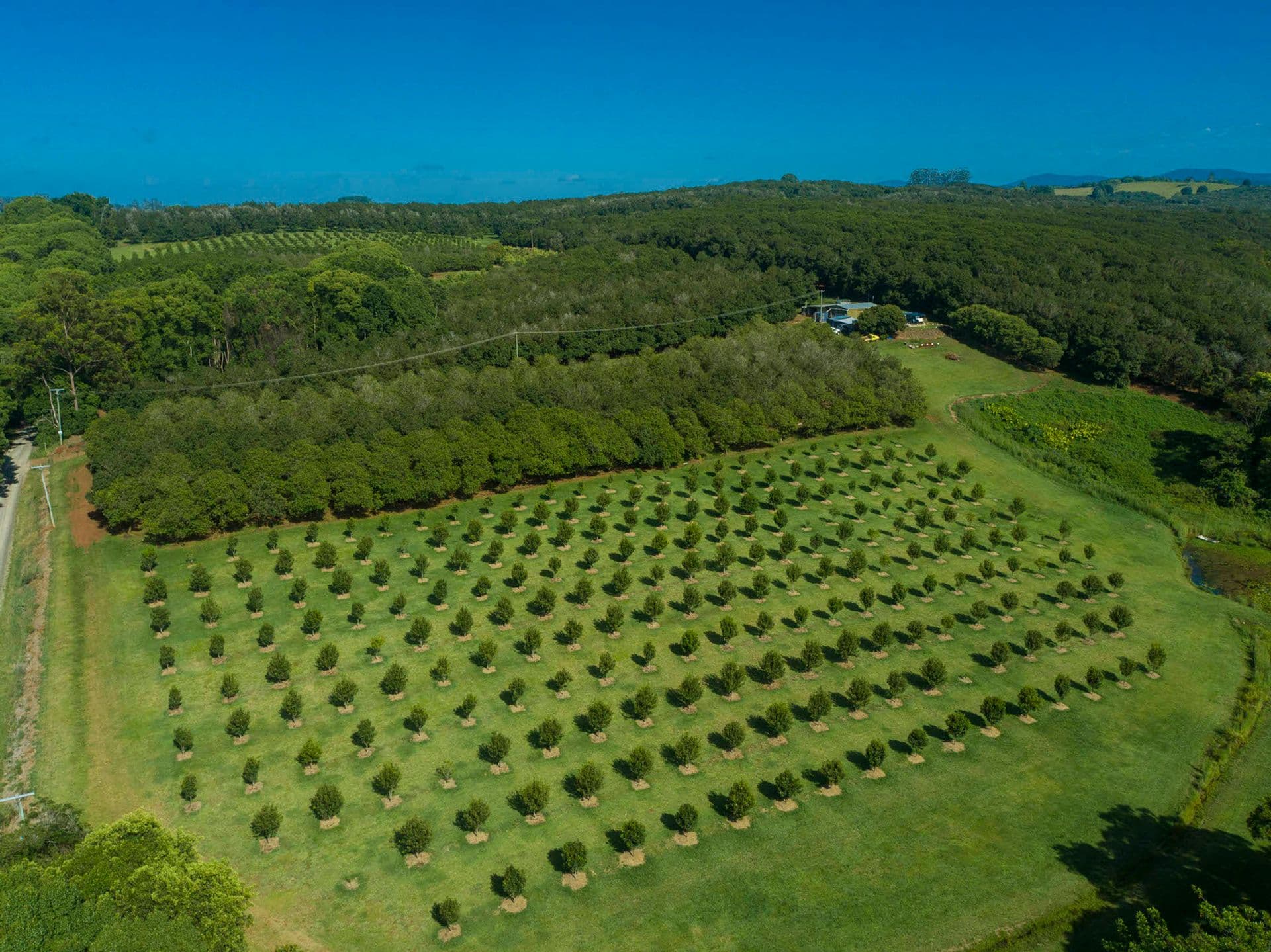 Address Withheld, Dunoon, NSW, 2480, Dunoon - Thumbnail 2