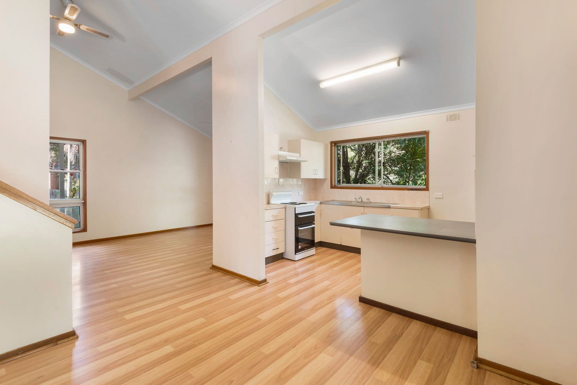 22 Campbell Crescent, Goonellabah, NSW, 2480, Goonellabah - Thumbnail 4