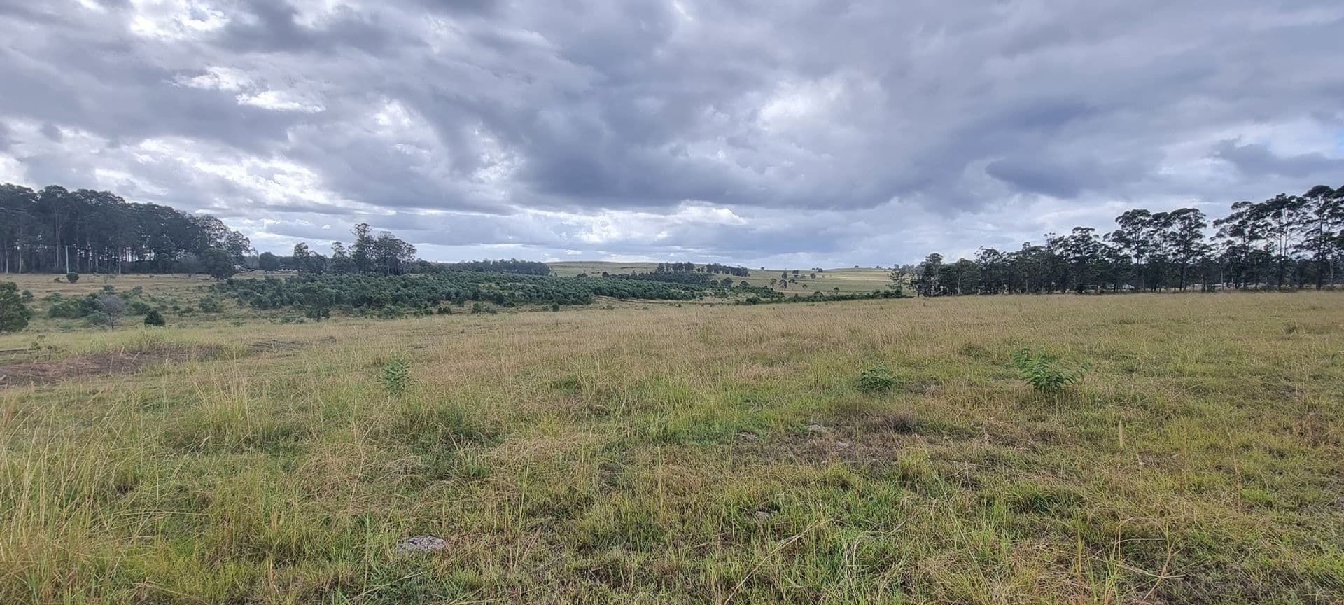 745 Avenue Road, Ellangowan, NSW, 2470, Ellangowan - Thumbnail 2