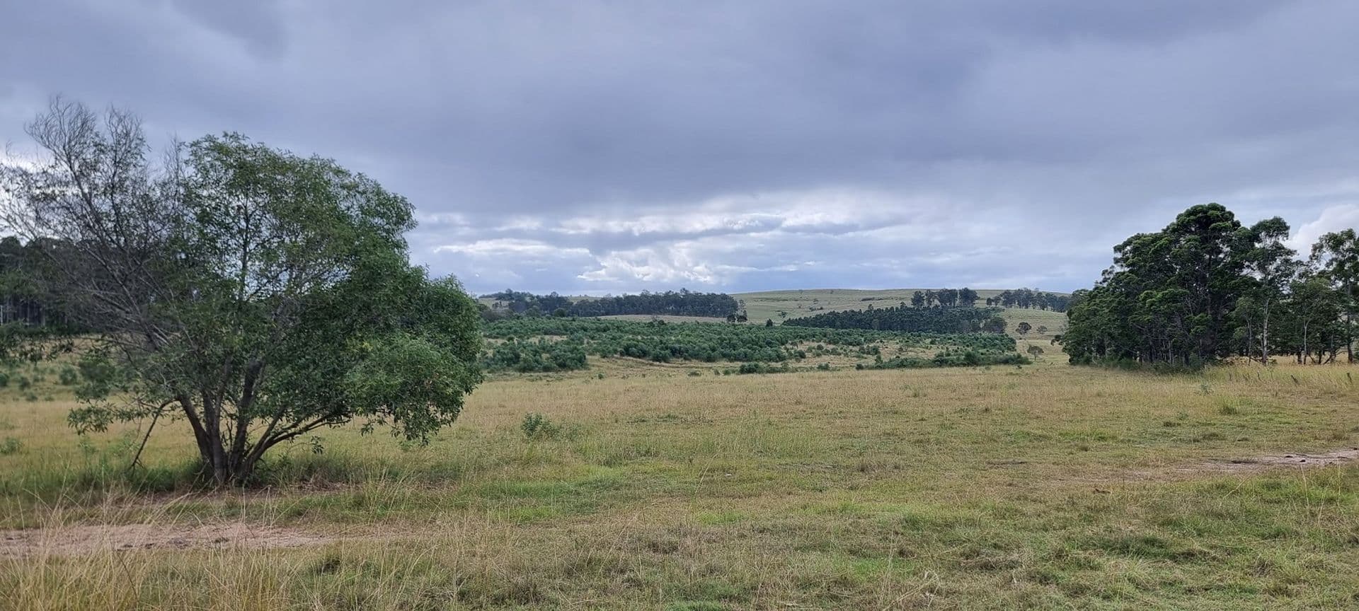 745 Avenue Road, Ellangowan, NSW, 2470, Ellangowan - Thumbnail 6