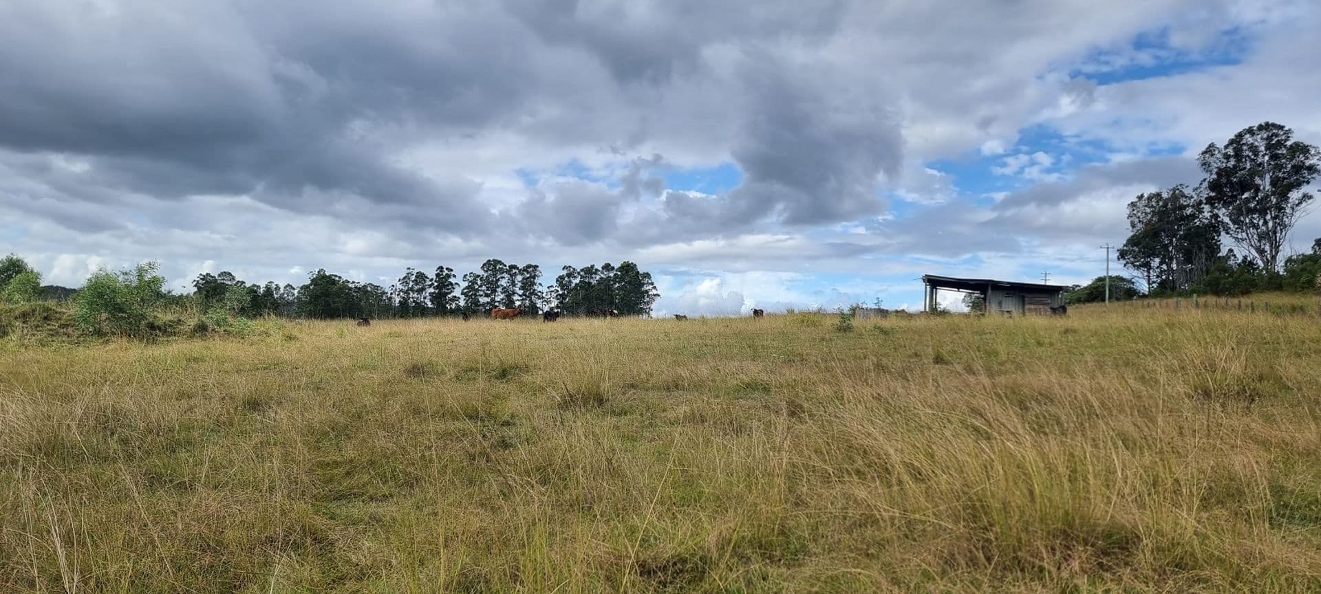 745 Avenue Road, Ellangowan, NSW, 2470, Ellangowan - Thumbnail 7