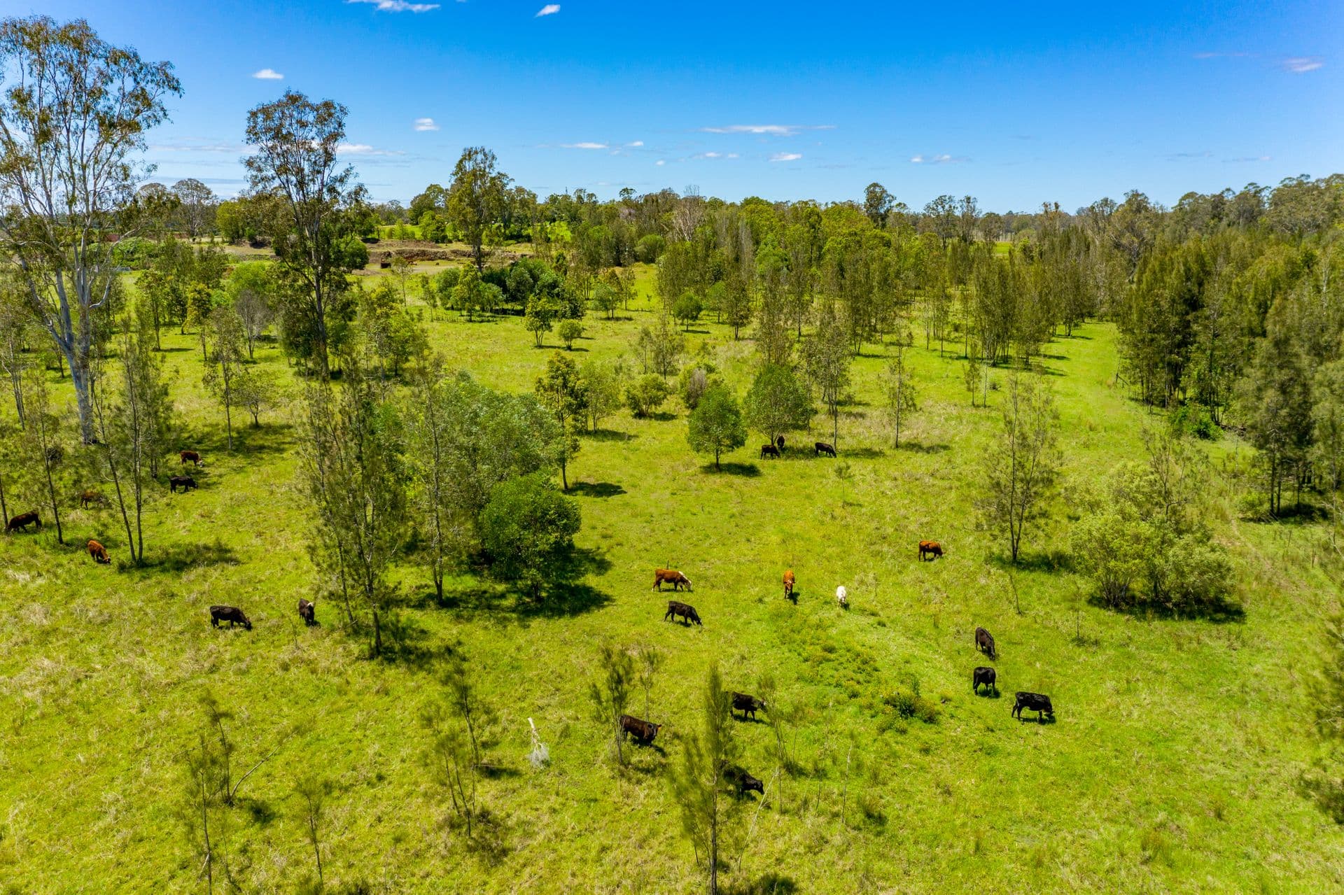 1010 Tatham Ellangowan Road, Ellangowan, NSW, 2470, Ellangowan - Thumbnail 5
