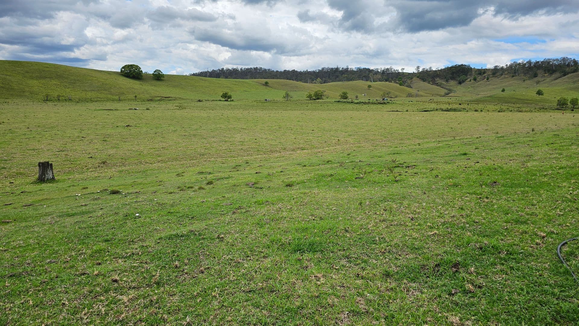 Lot 134 Bentley Road, Cedar Point, NSW, 2474, Cedar Point - Image 1