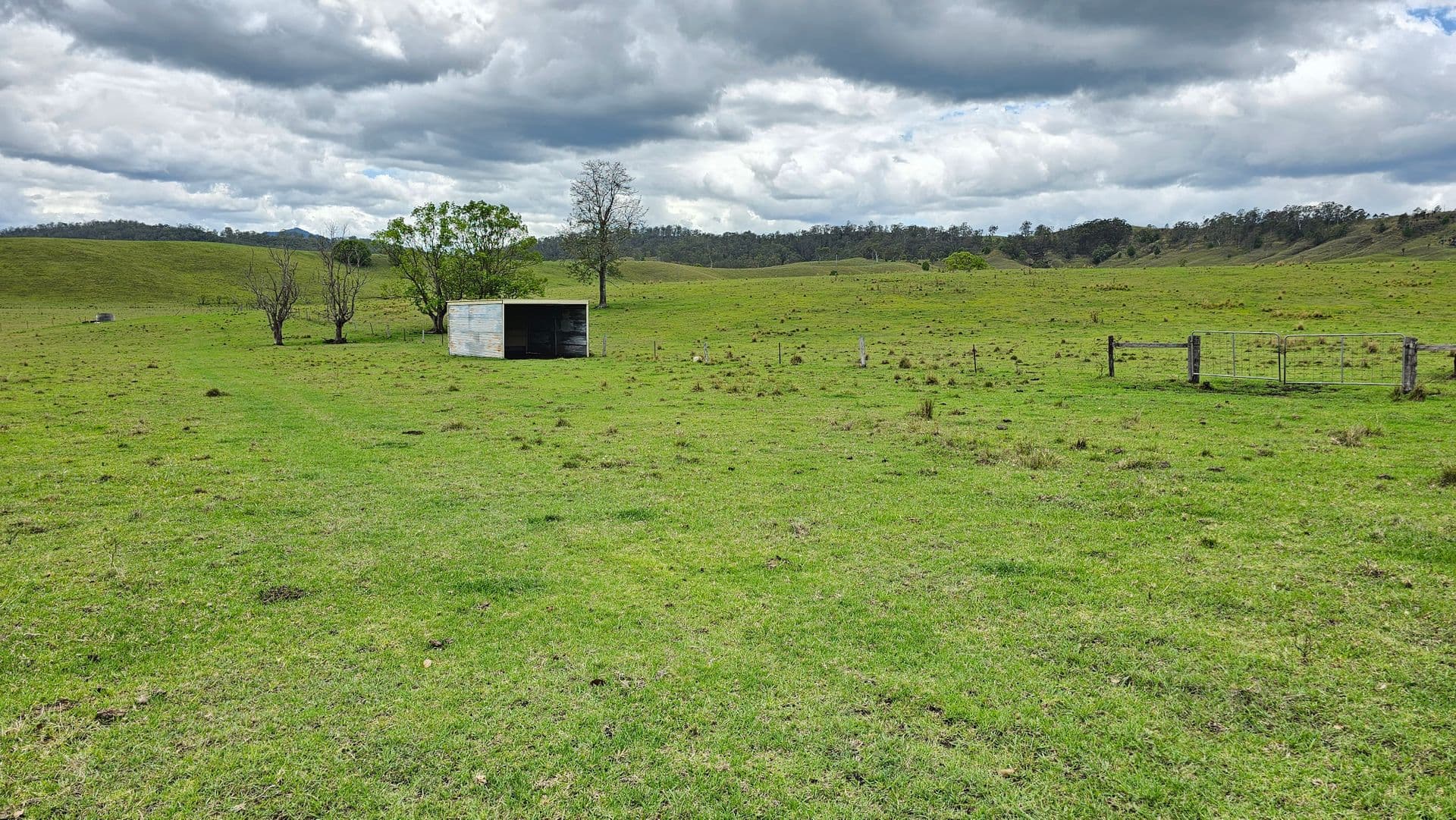 Lot 134 Bentley Road, Cedar Point, NSW, 2474, Cedar Point - Thumbnail 3
