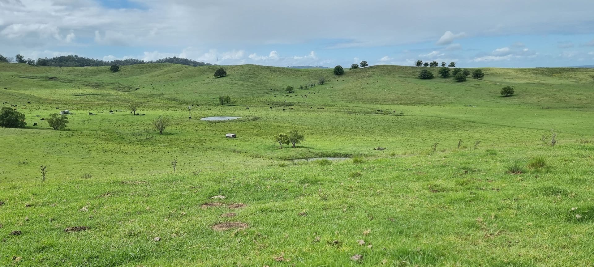 Lot 134 Bentley Road, Cedar Point, NSW, 2474, Cedar Point - Thumbnail 4