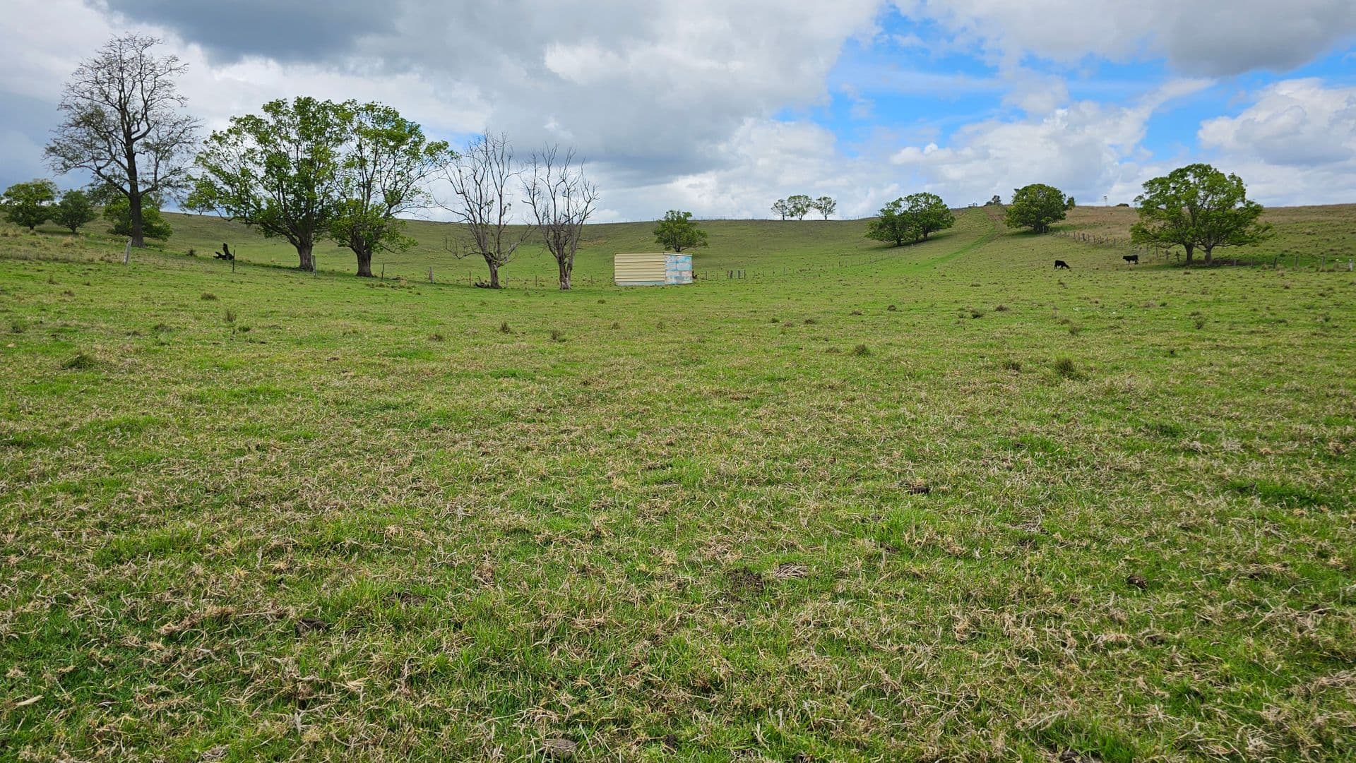 Lot 134 Bentley Road, Cedar Point, NSW, 2474, Cedar Point - Thumbnail 6