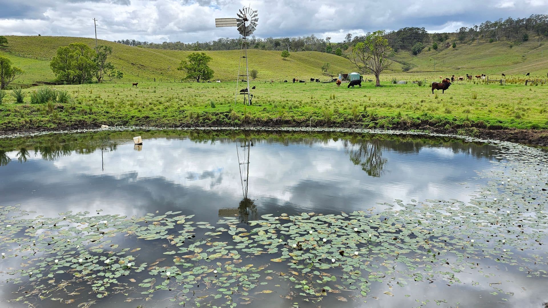 Lot 134 Bentley Road, Cedar Point, NSW, 2474, Cedar Point - Thumbnail 5