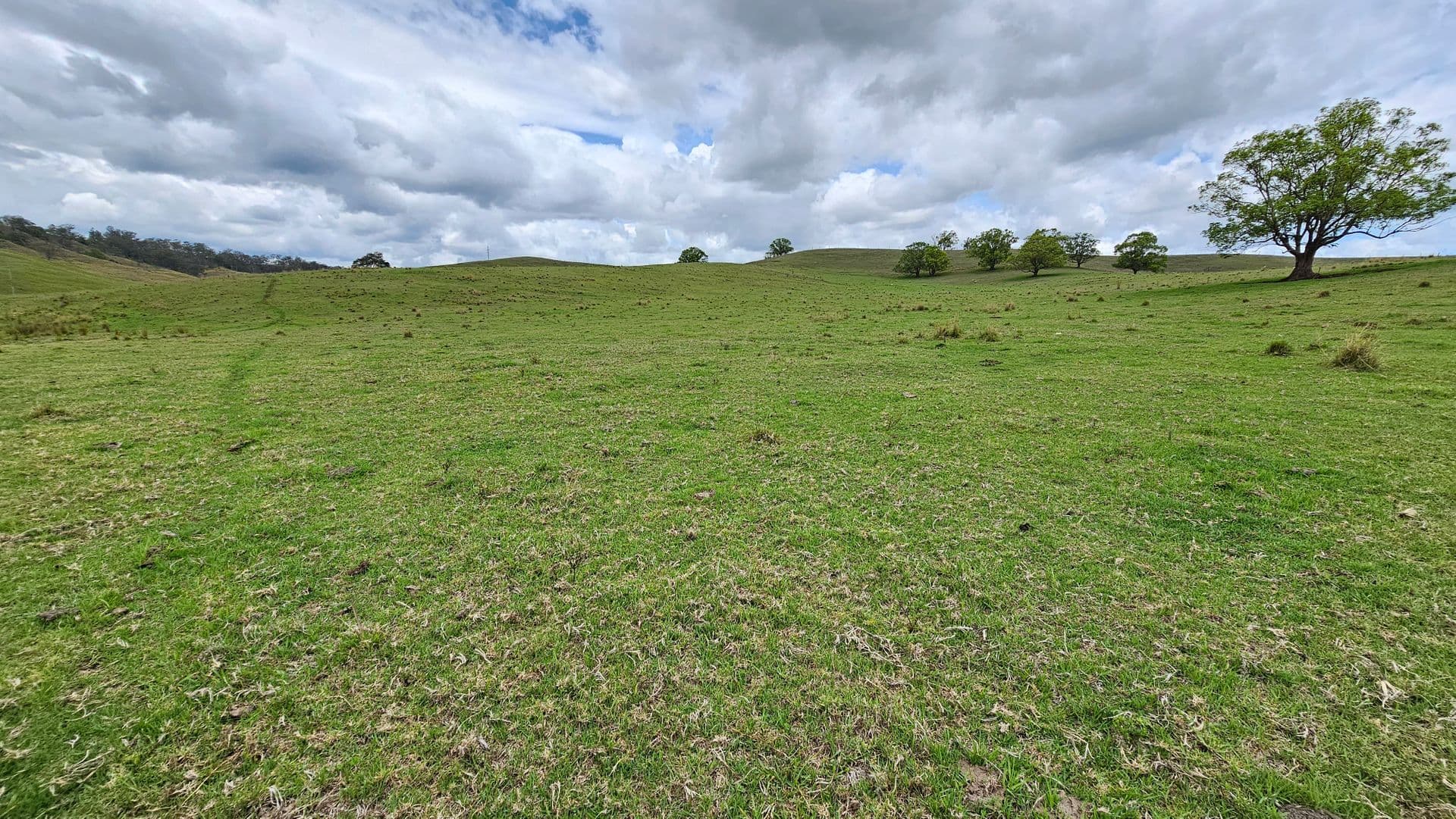 Lot 134 Bentley Road, Cedar Point, NSW, 2474, Cedar Point - Thumbnail 7