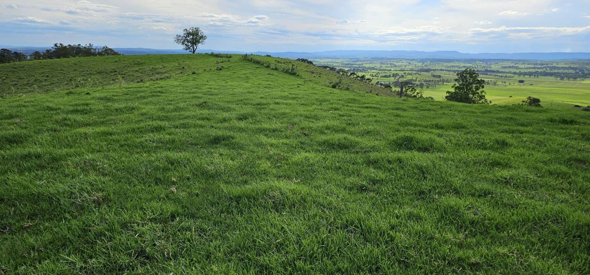 Lot 134 Bentley Road, Cedar Point, NSW, 2474, Cedar Point - Thumbnail 8