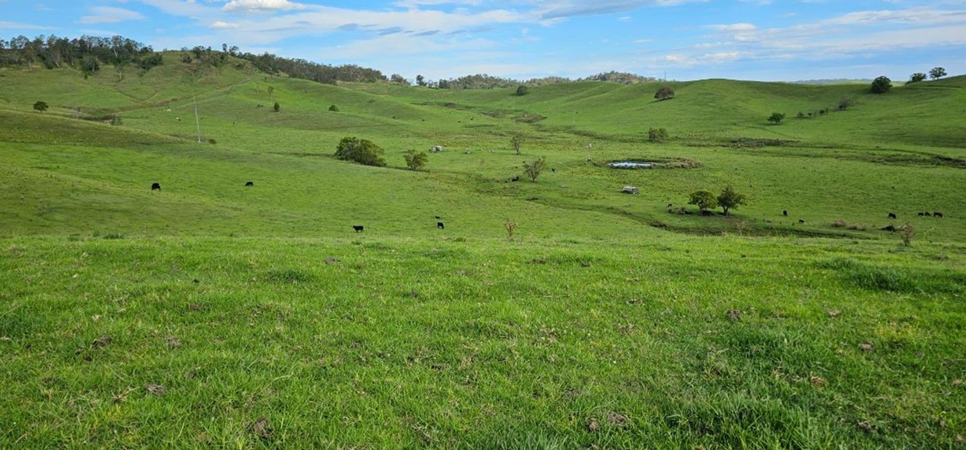Lot 134 Bentley Road, Cedar Point, NSW, 2474, Cedar Point - Thumbnail 2
