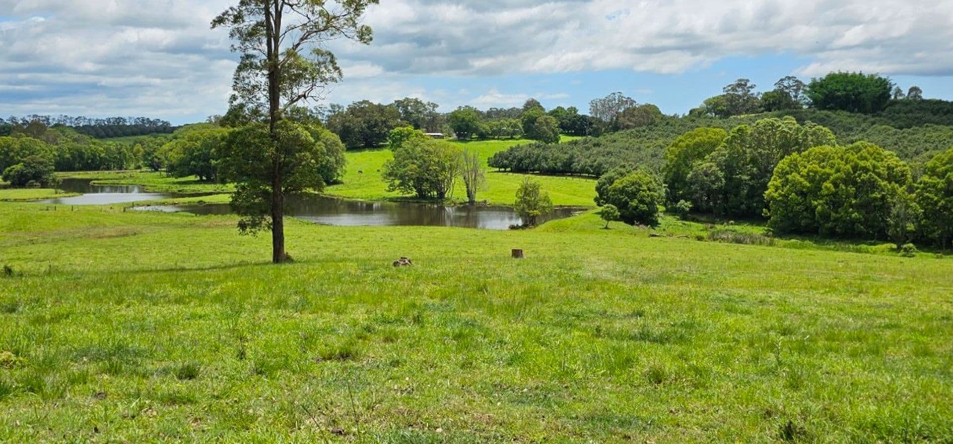 Address Withheld, McLeans Ridges, NSW, 2480, McLeans Ridges - Thumbnail 4