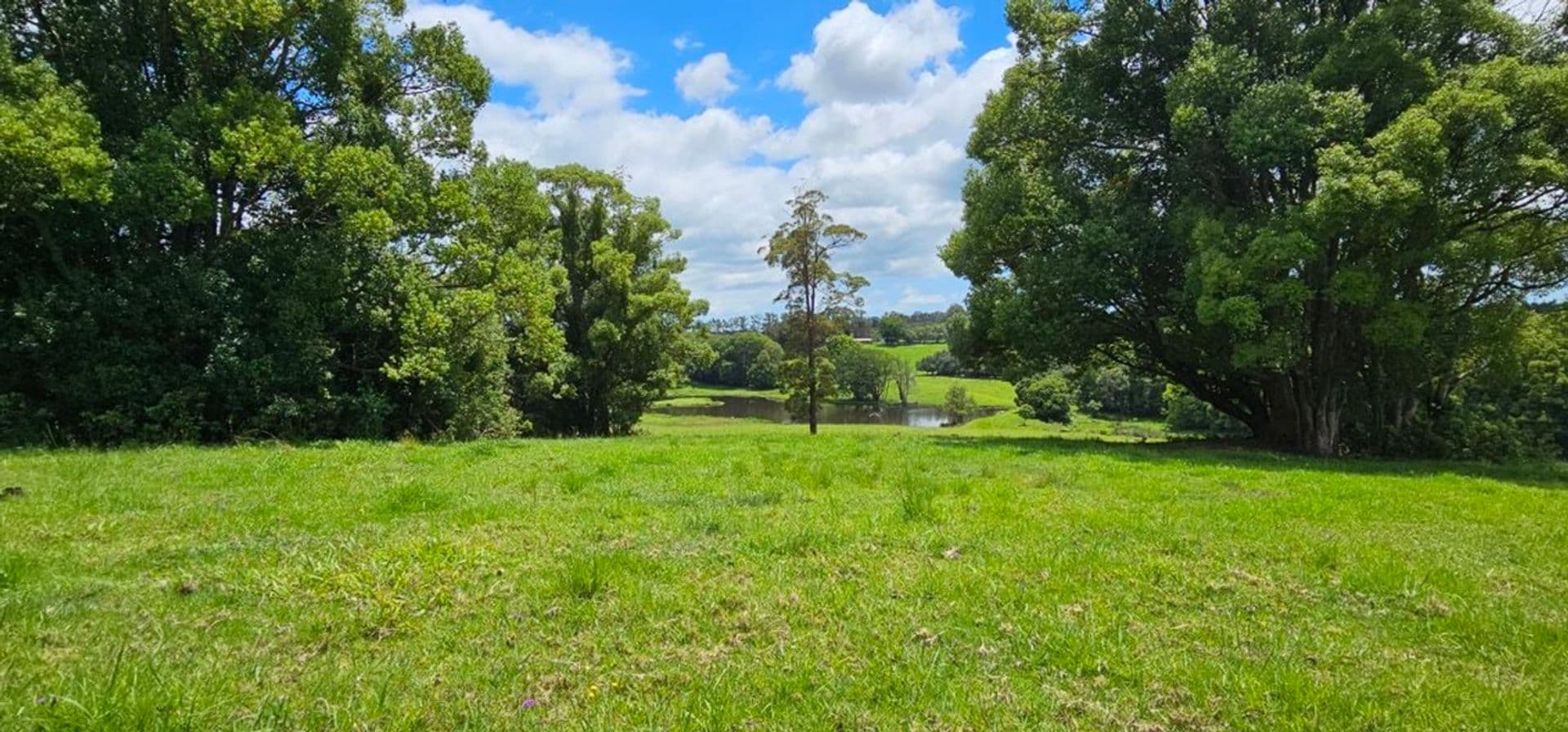 Address Withheld, McLeans Ridges, NSW, 2480, McLeans Ridges - Thumbnail 5