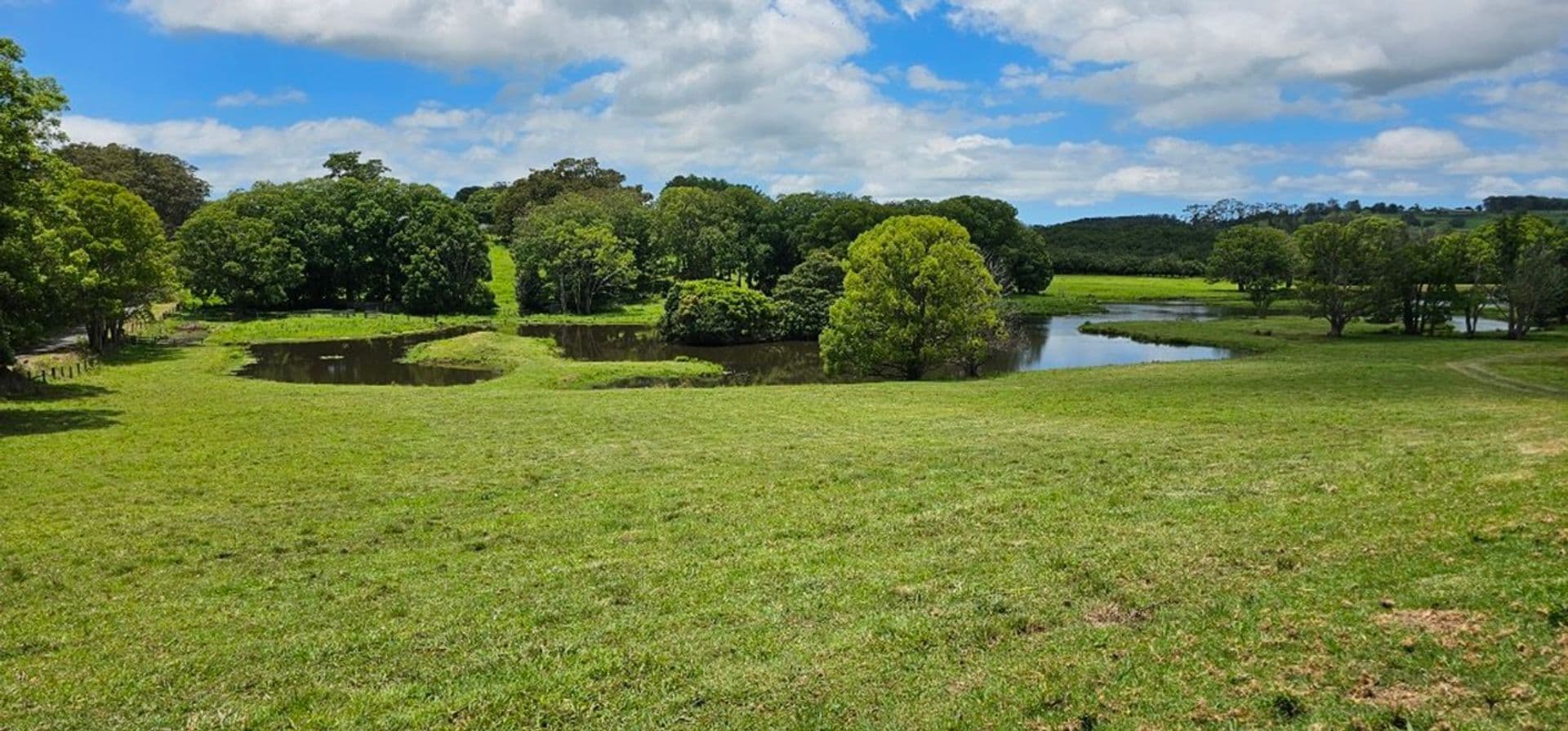 Address Withheld, McLeans Ridges, NSW, 2480, McLeans Ridges - Thumbnail 7
