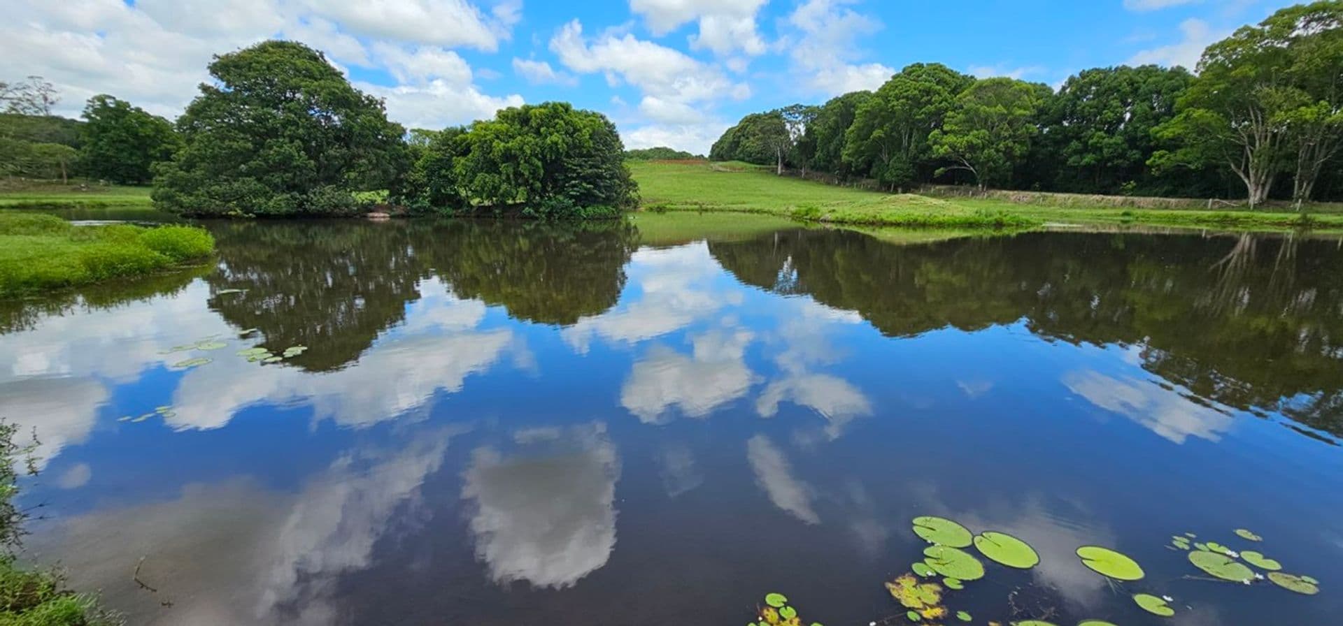 Address Withheld, McLeans Ridges, NSW, 2480, McLeans Ridges - Image 1