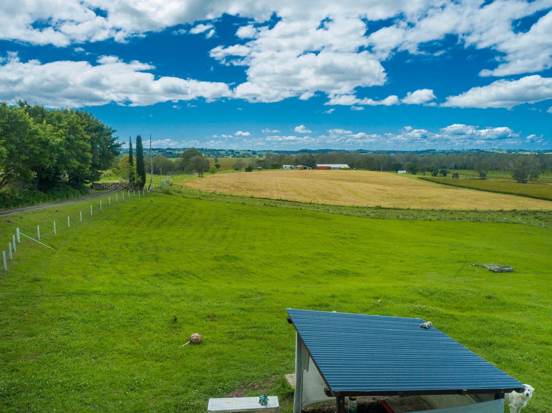 97 Park Road, Ruthven, NSW, 2480, Ruthven - Thumbnail 5