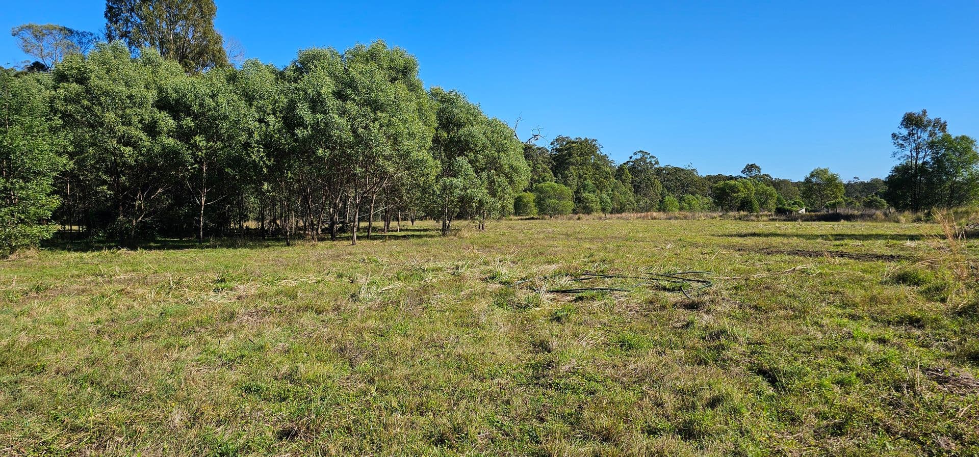 1260 Coraki-Ellangowan Road, West Coraki, NSW, 2471, Ellangowan - Image 1