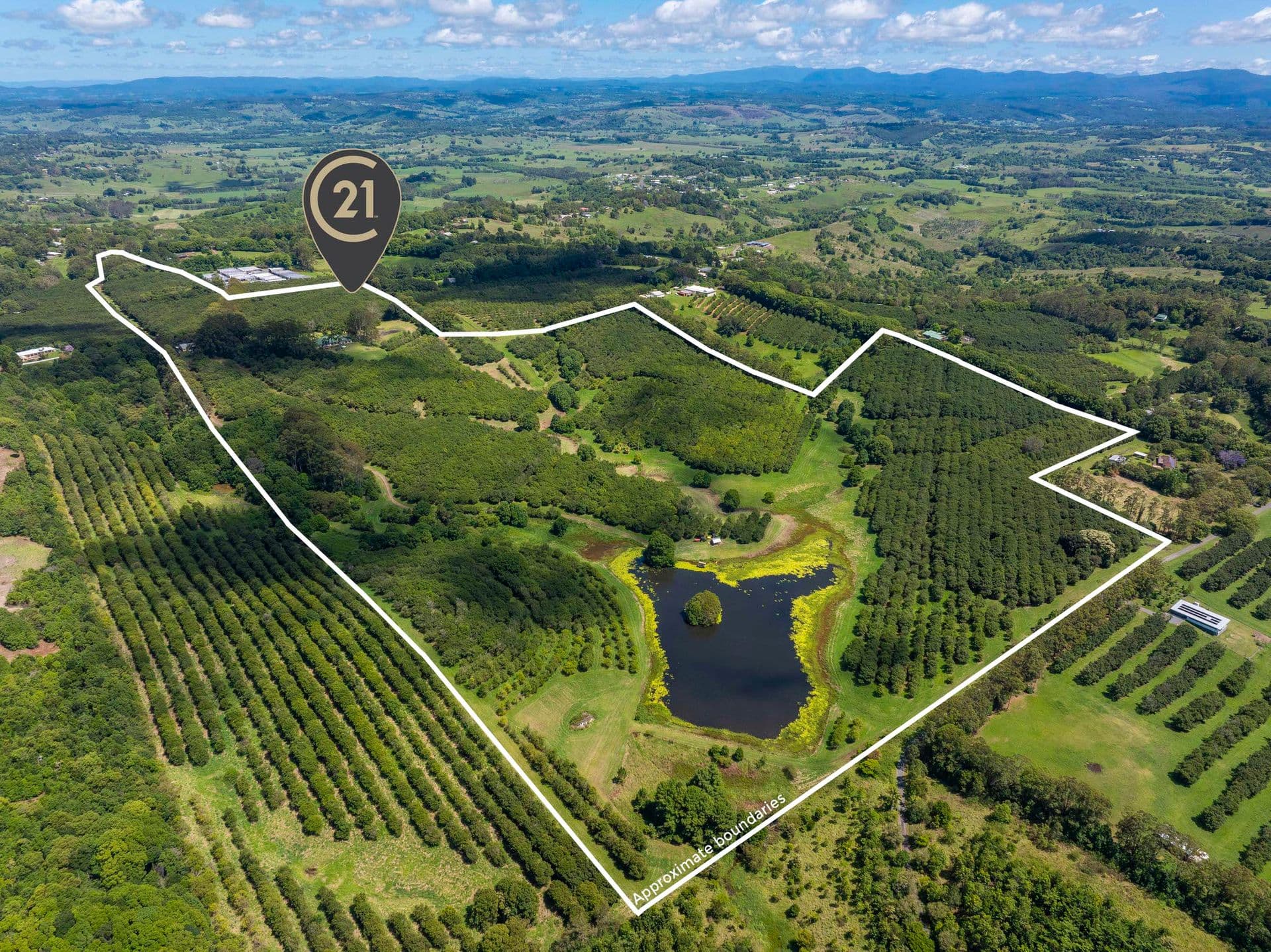 308 Cowlong Road, McLeans Ridges, NSW, 2480, McLeans Ridges - Thumbnail 6