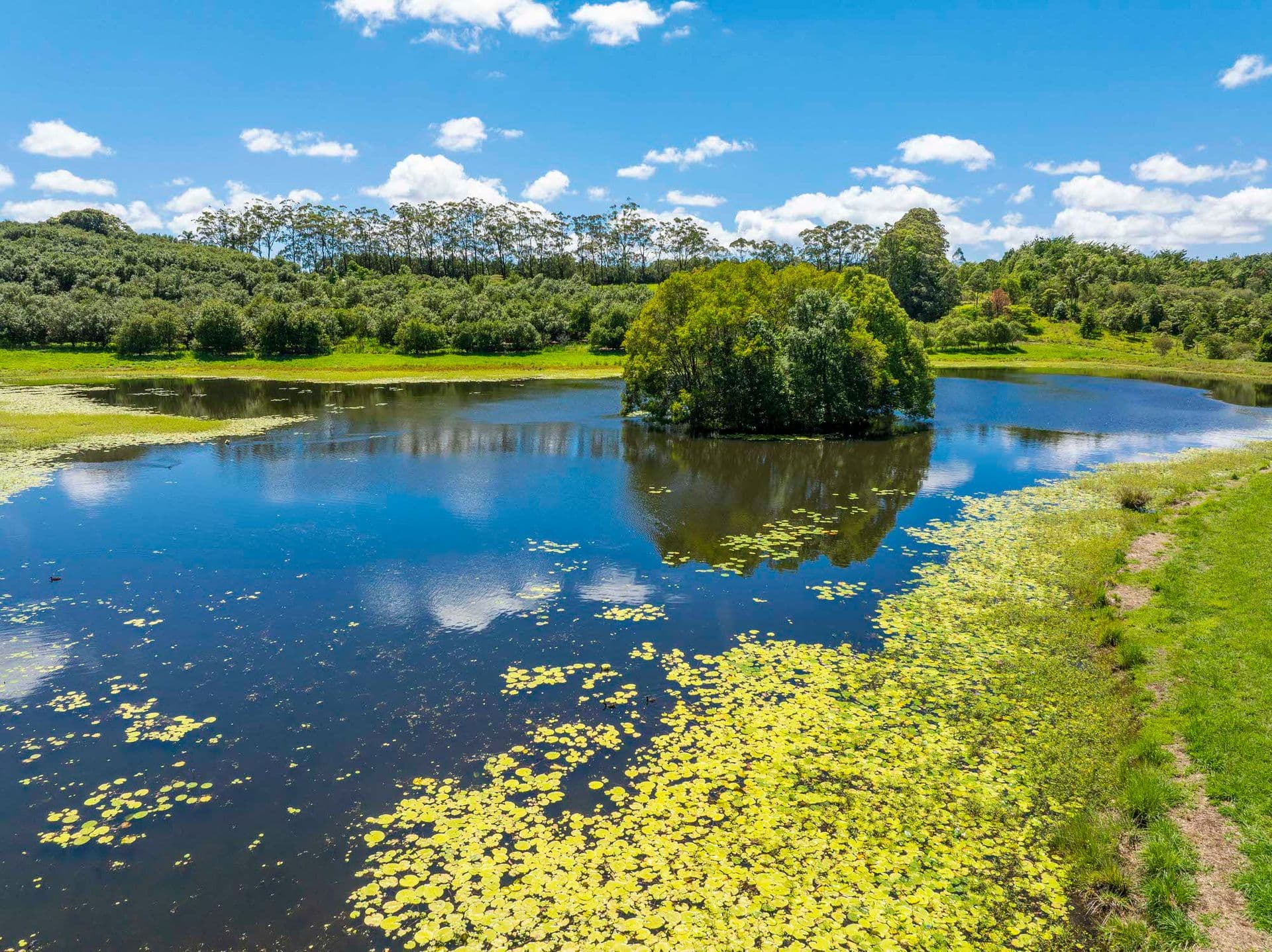 308 Cowlong Road, McLeans Ridges, NSW, 2480, McLeans Ridges - Thumbnail 7