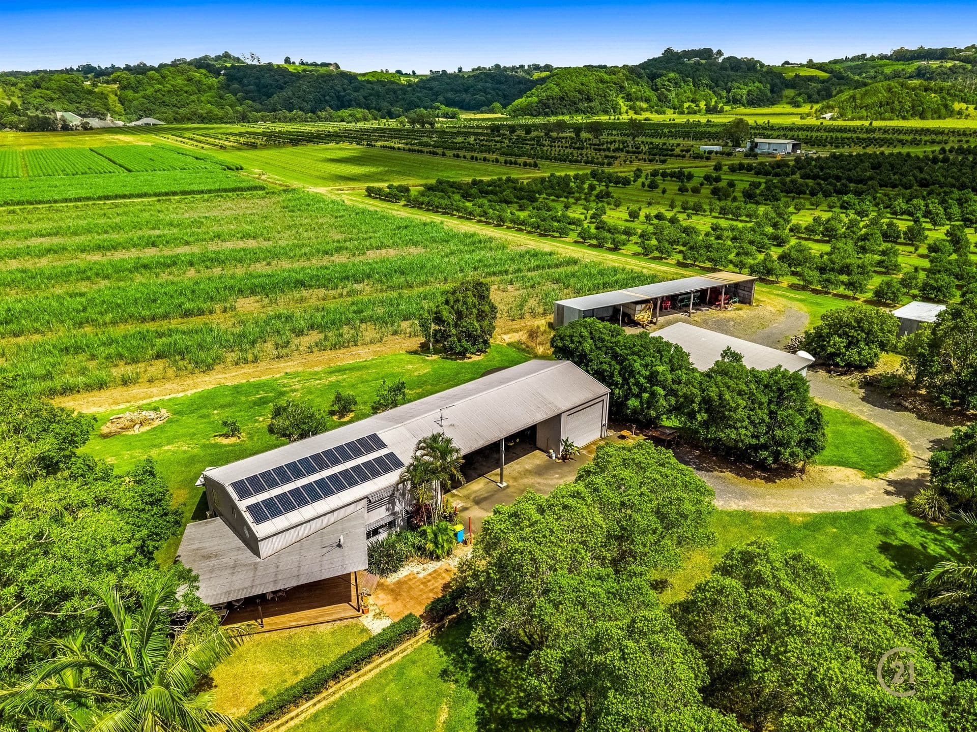 423 Teven Road, Teven, NSW, 2478, Teven - Thumbnail 2