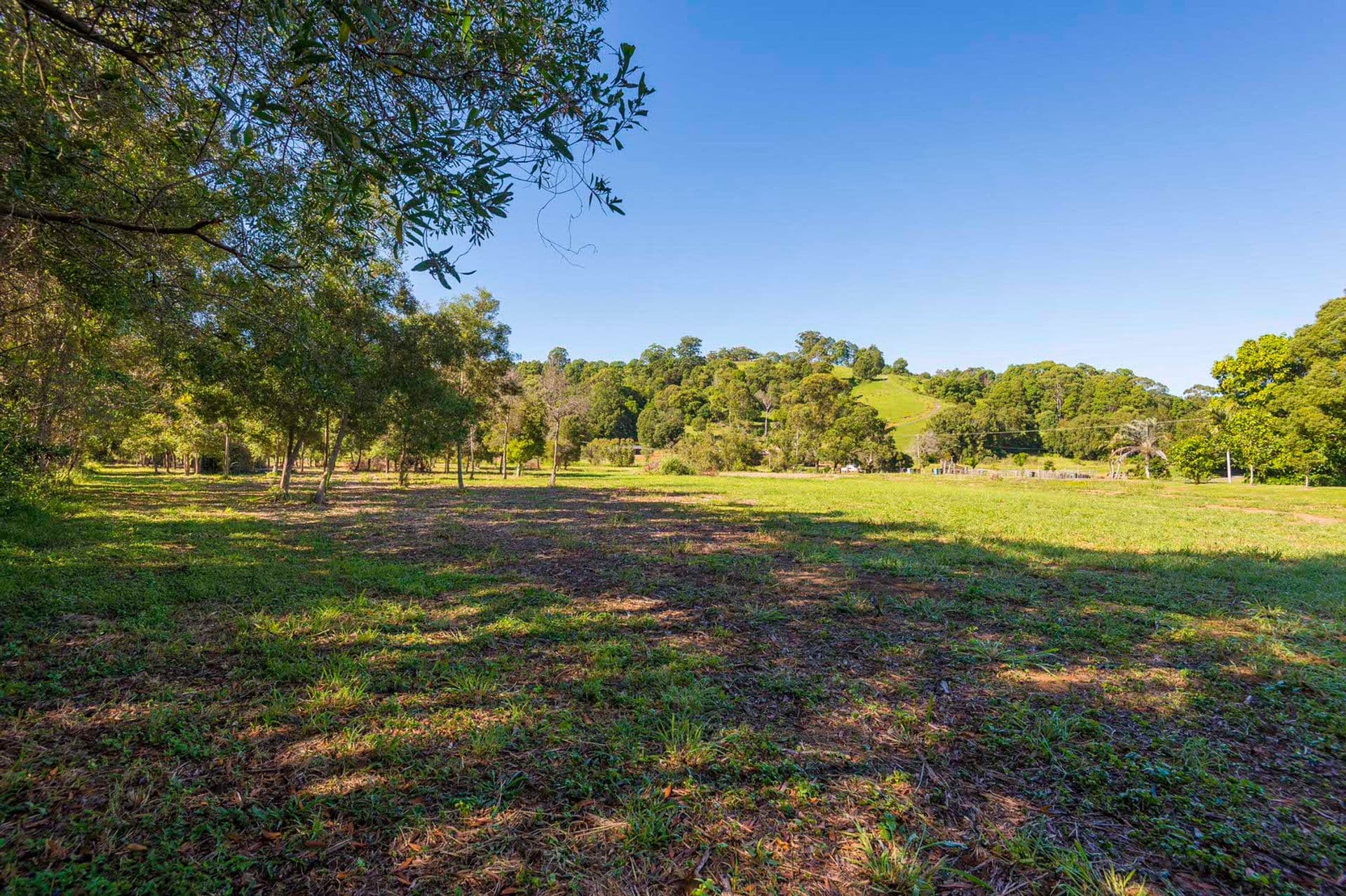 19 Lovegroves Lane, Uralba, NSW, 2477, Uralba - Thumbnail 6