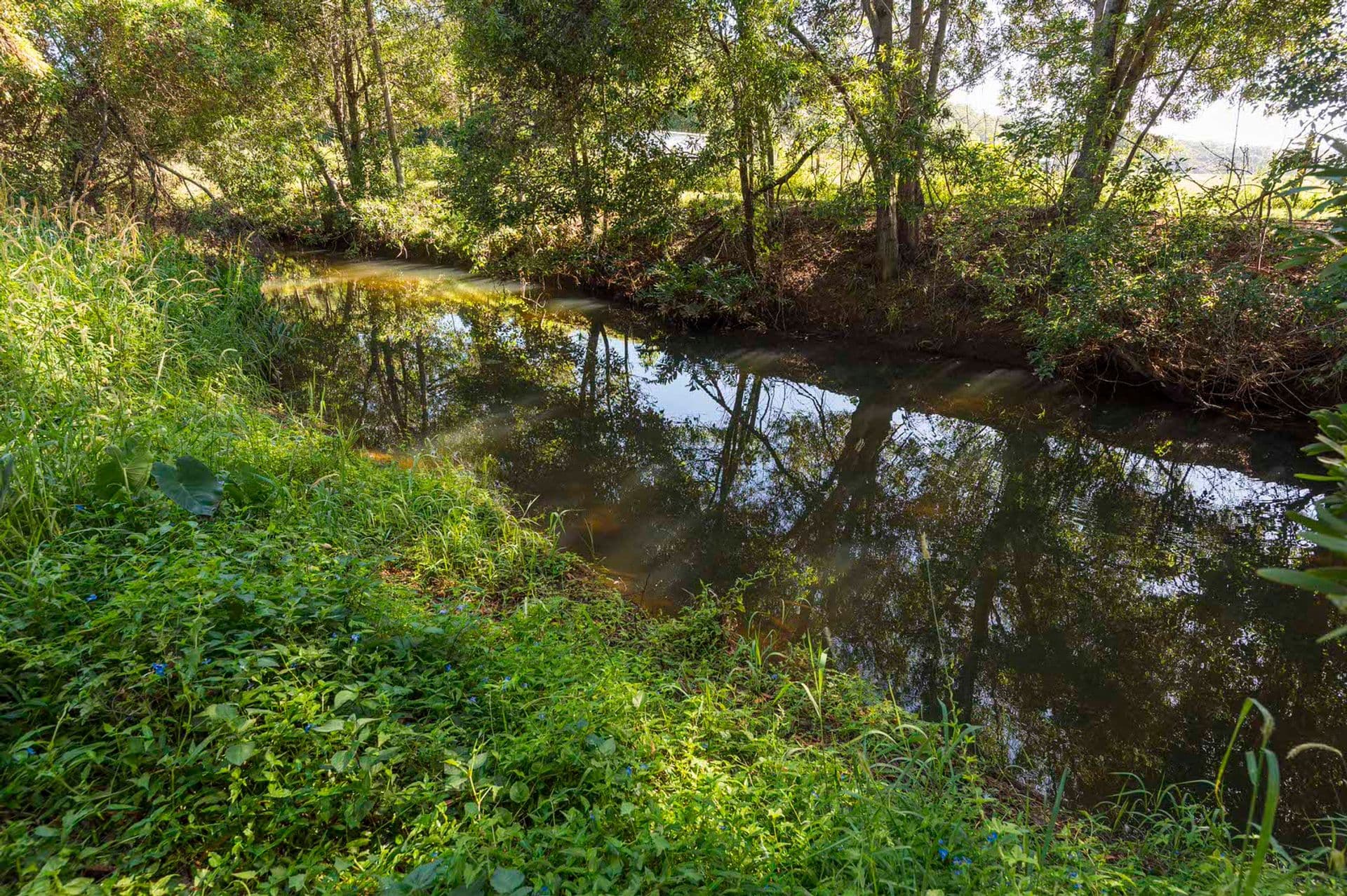 19 Lovegroves Lane, Uralba, NSW, 2477, Uralba - Thumbnail 8