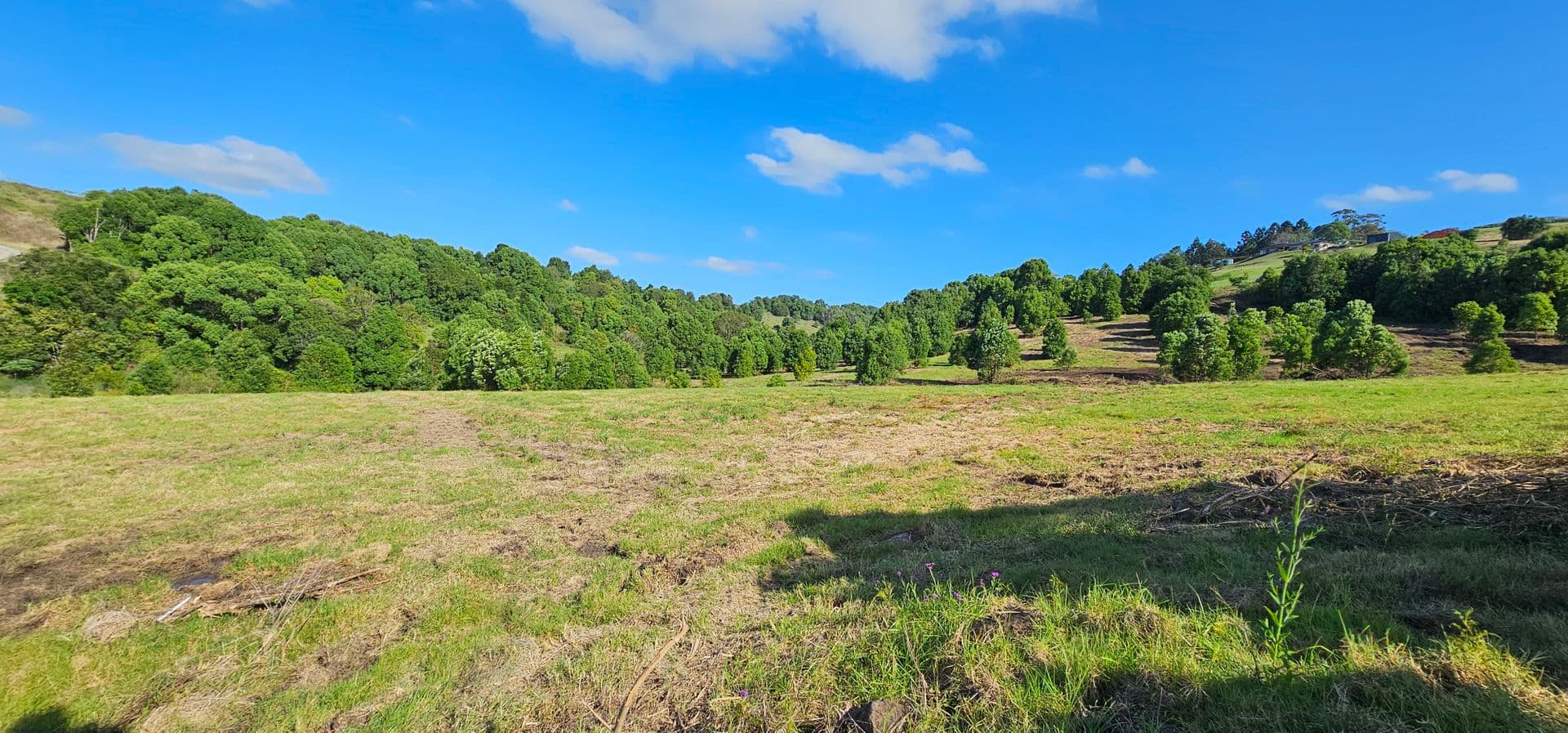 11 Talbot Close, McLeans Ridges, NSW, 2480, McLeans Ridges - Thumbnail 4