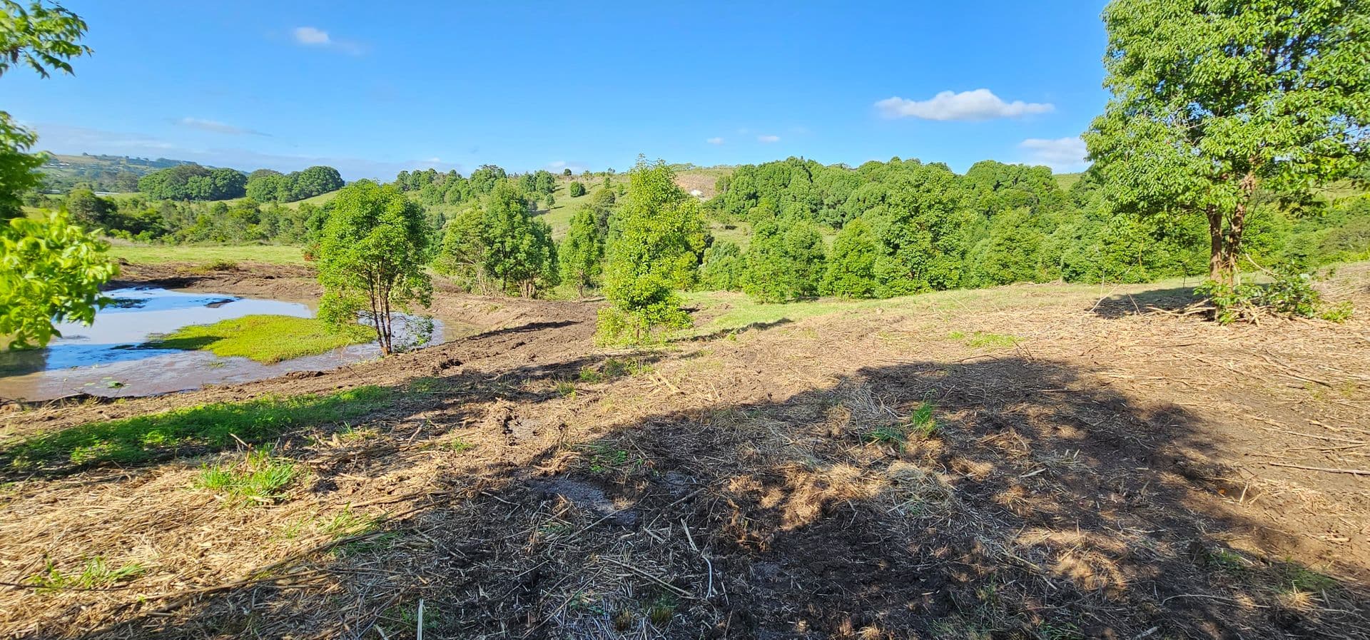11 Talbot Close, McLeans Ridges, NSW, 2480, McLeans Ridges - Thumbnail 5