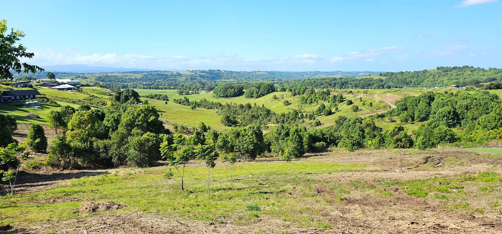 11 Talbot Close, McLeans Ridges, NSW, 2480, McLeans Ridges - Thumbnail 3