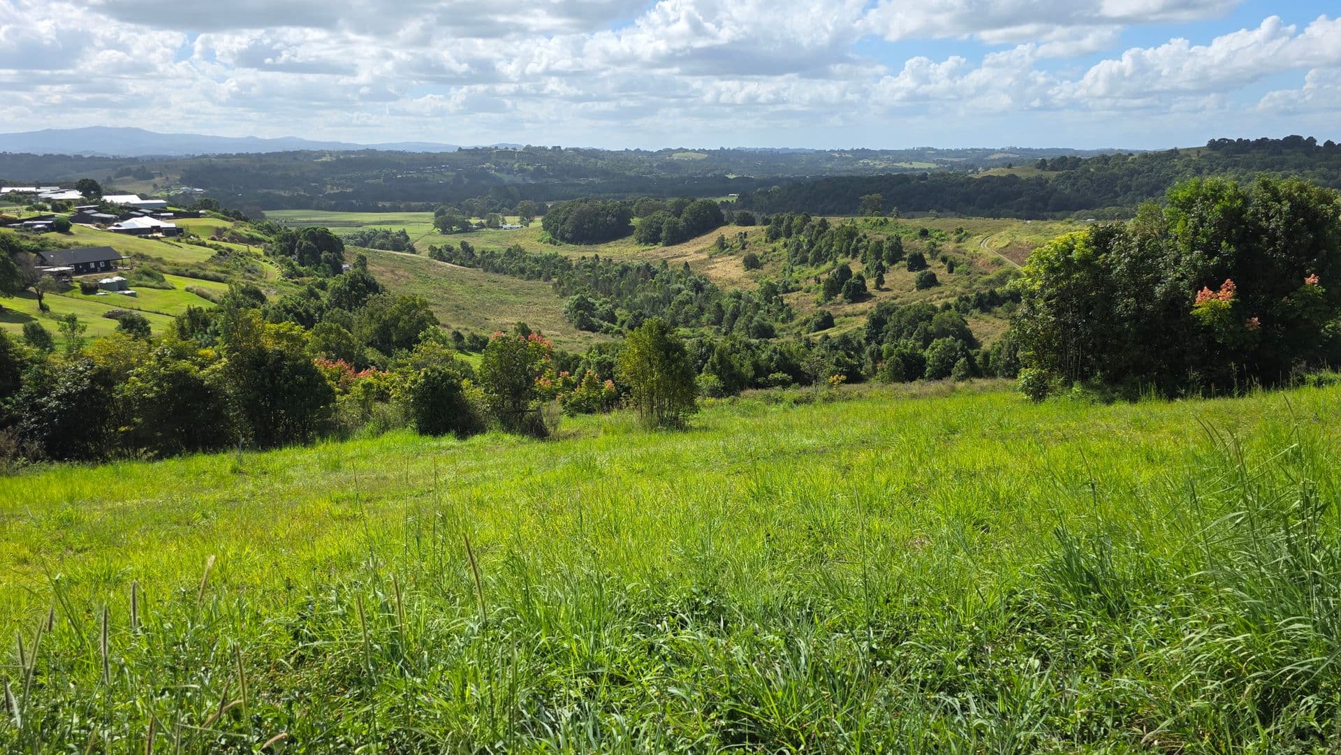 11 Talbot Close, McLeans Ridges, NSW, 2480, McLeans Ridges - Thumbnail 2