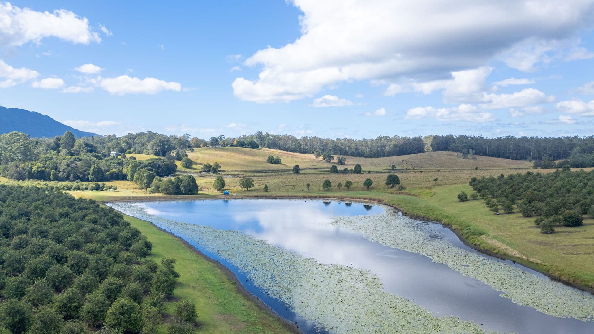 412 South Bank Road, Tamban, NSW, 2441, Tamban - Thumbnail 3