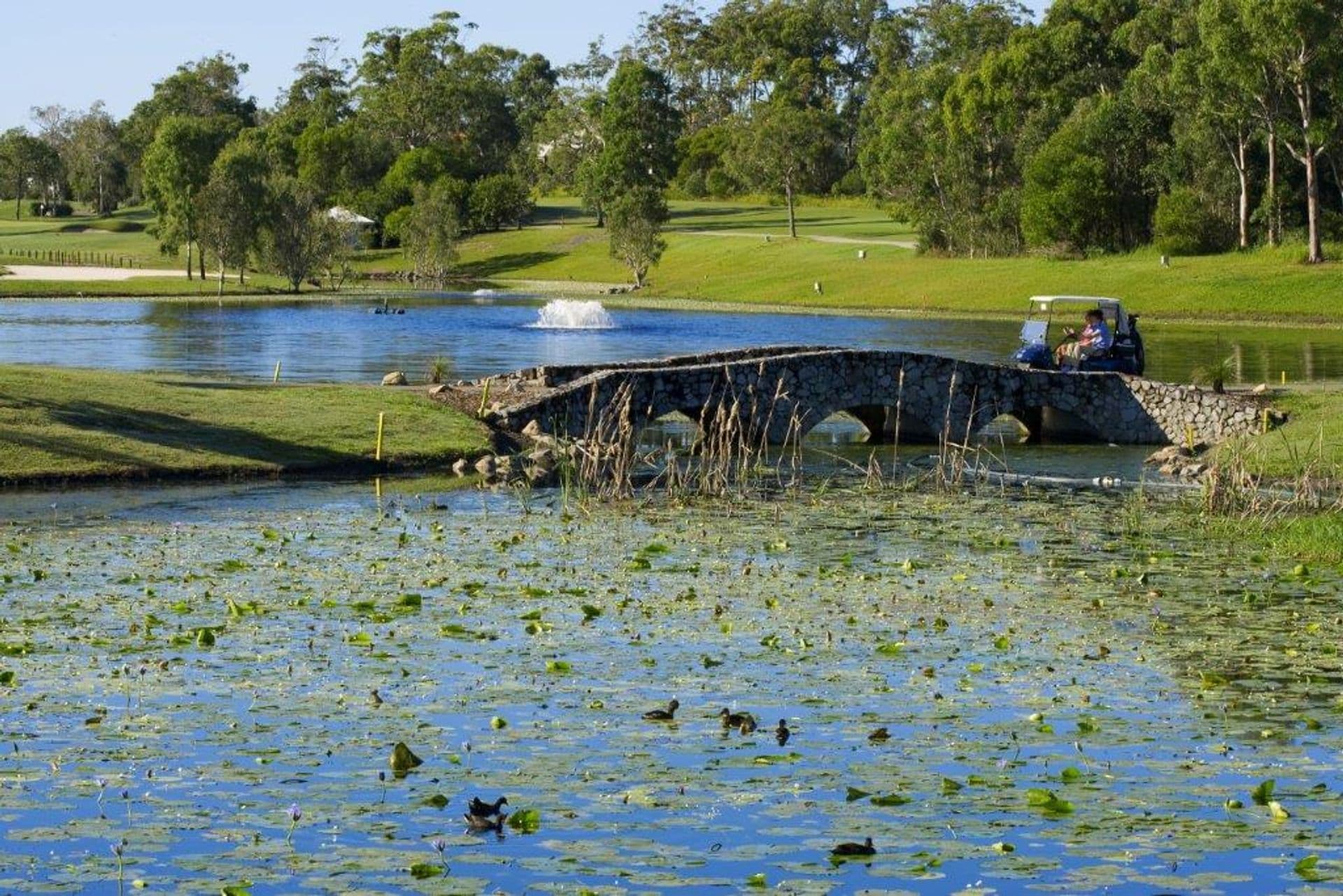 5 Balgownie Drive, Peregian Springs, QLD, 4573, Peregian Springs - Thumbnail 3