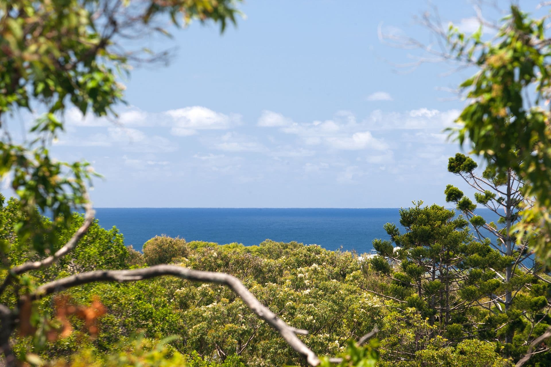 6/18 Lanyana Way, Noosa Heads, QLD, 4567, Sunshine Beach - Thumbnail 6
