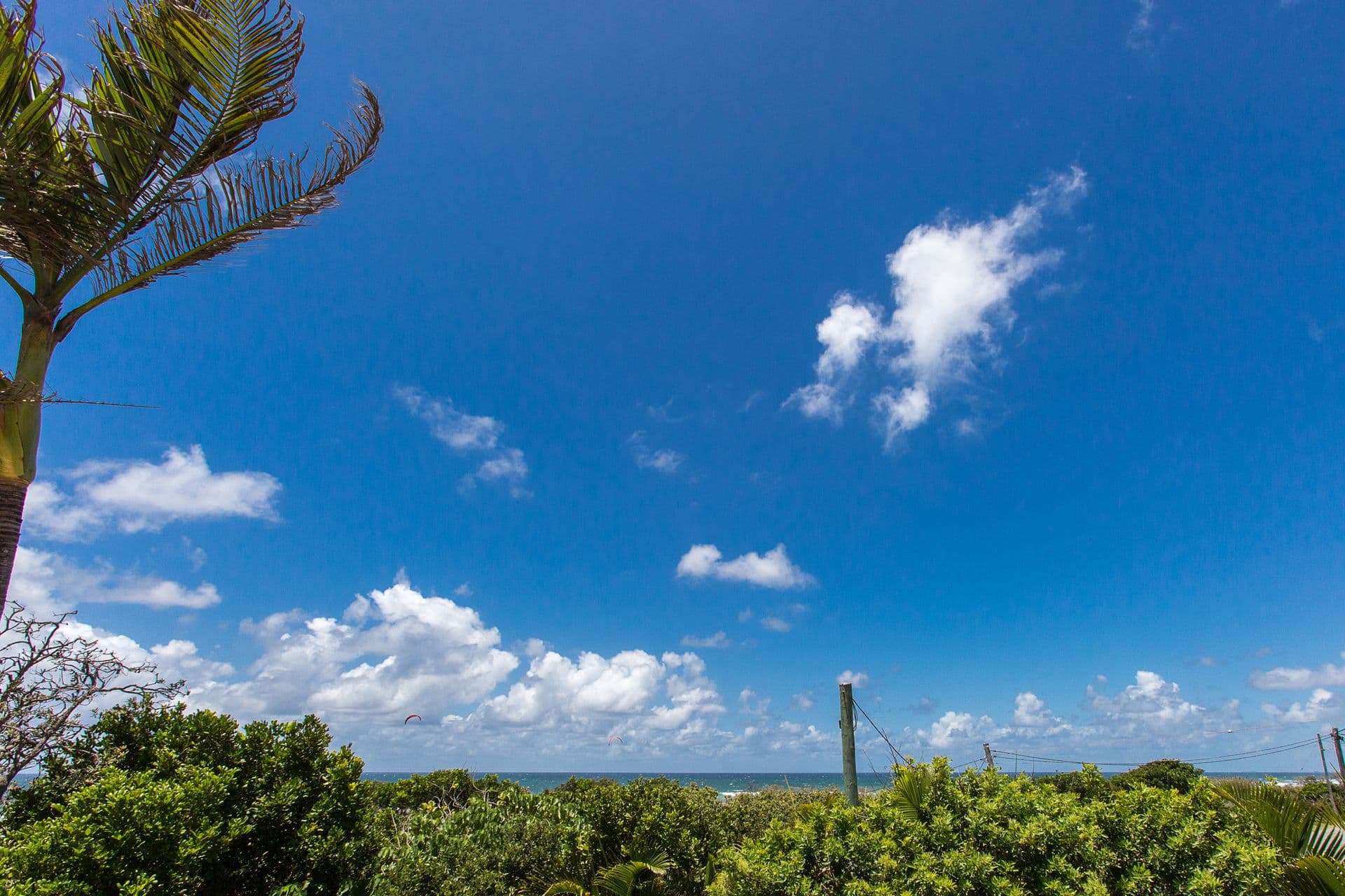 42/388 David Low Way, Peregian Beach, QLD, 4573, Peregian Beach - Thumbnail 8