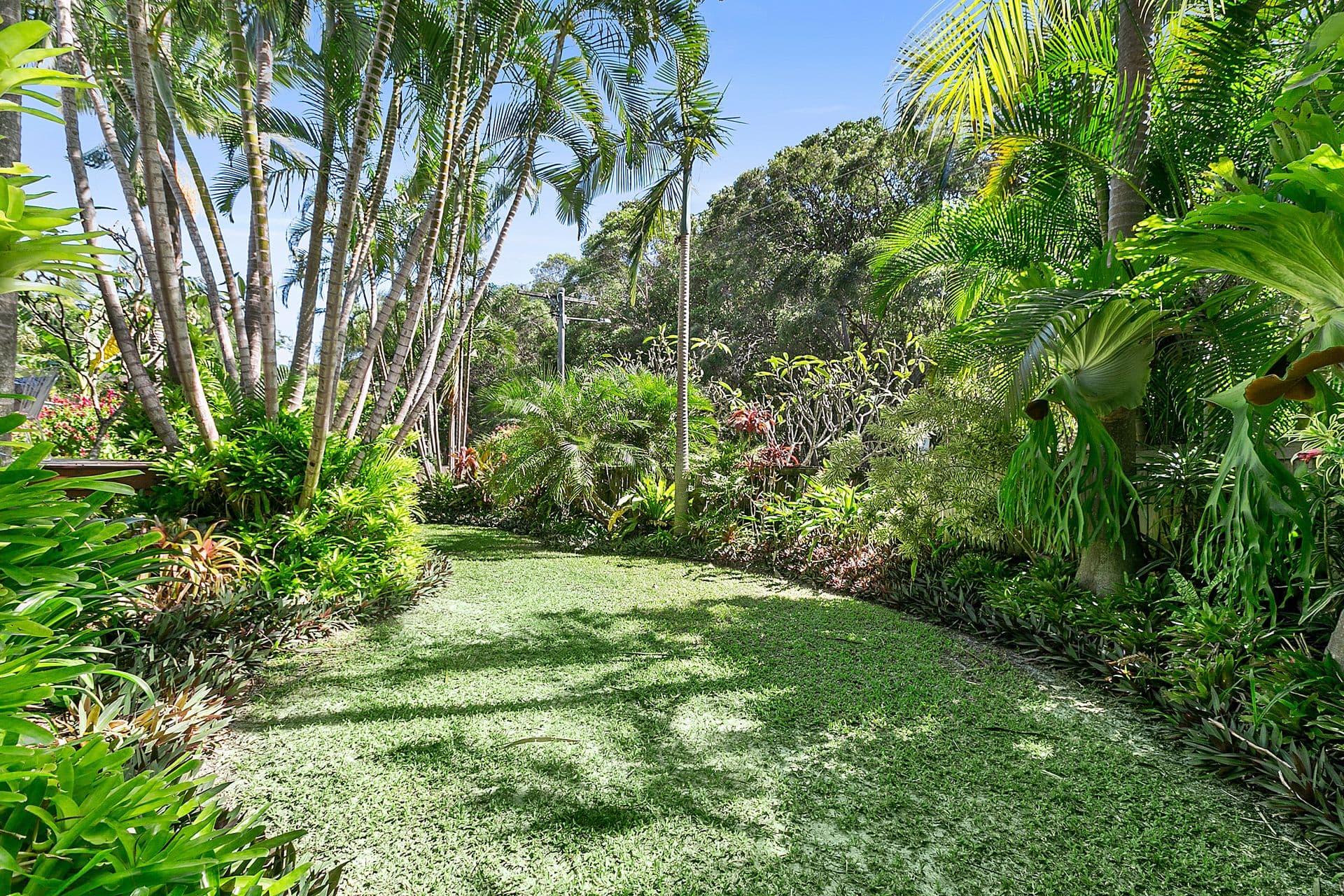 6/18 Lanyana Way, Noosa Heads, QLD, 4567, Sunshine Beach - Thumbnail 4