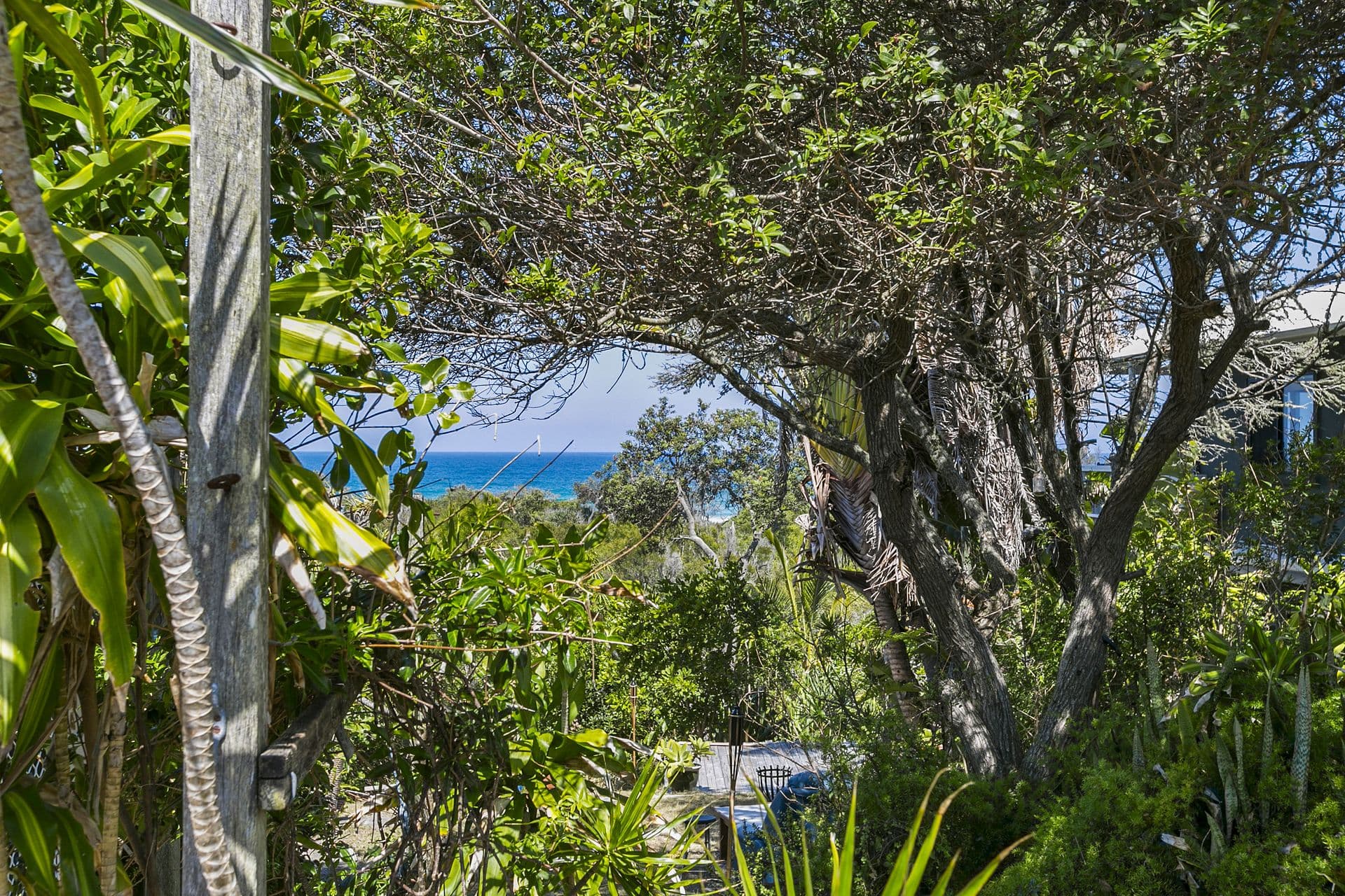 16 Plover Street, Peregian Beach, QLD, 4573, Peregian Beach - Thumbnail 6