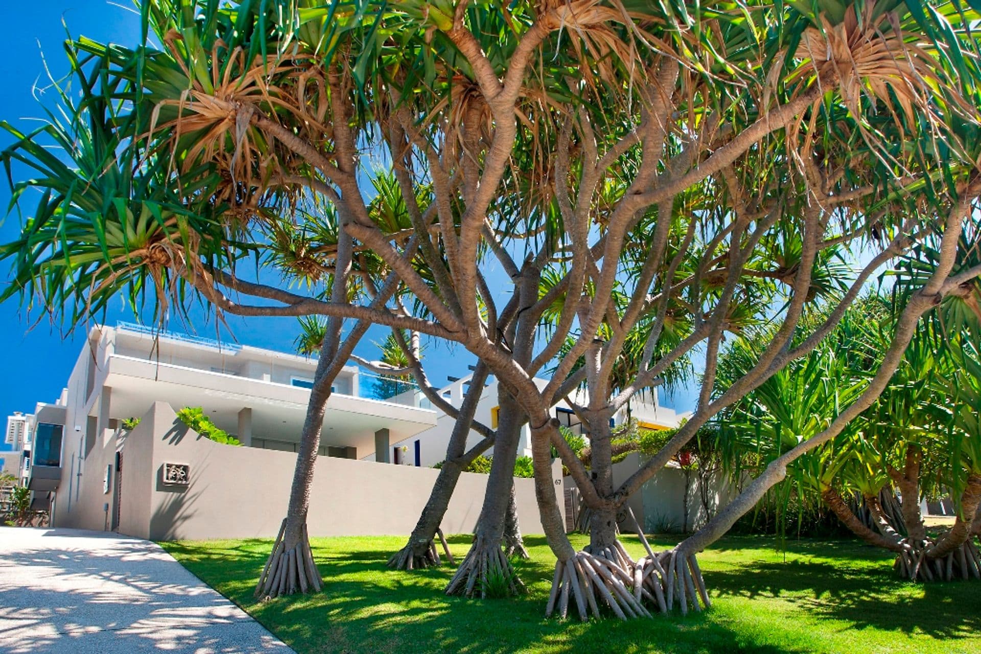 6/18 Lanyana Way, Noosa Heads, QLD, 4567, Sunshine Beach - Thumbnail 4