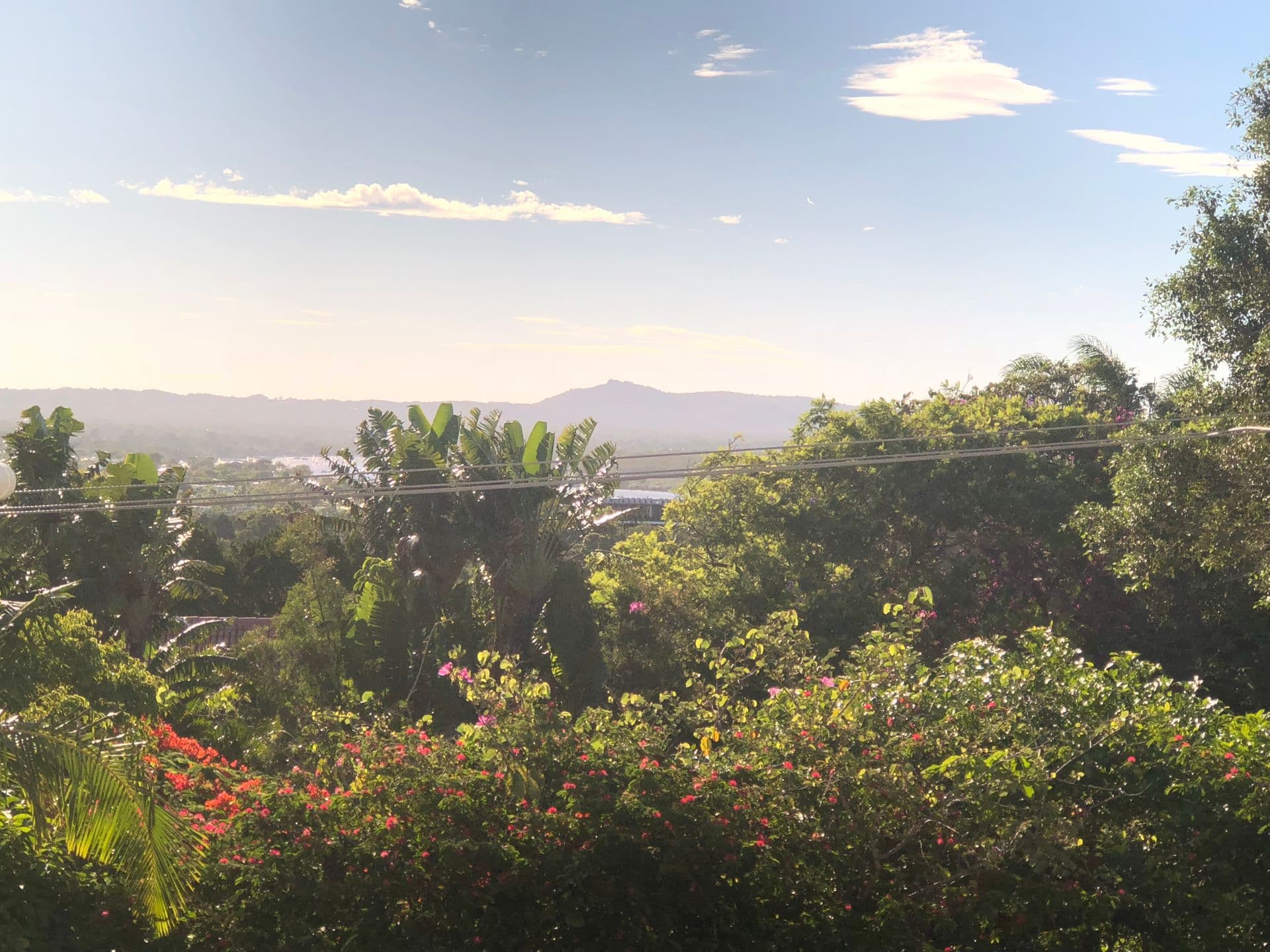 115/1 Edgar Bennett Avenue, Noosa Heads, QLD, 4567, Noosa Heads - Thumbnail 8