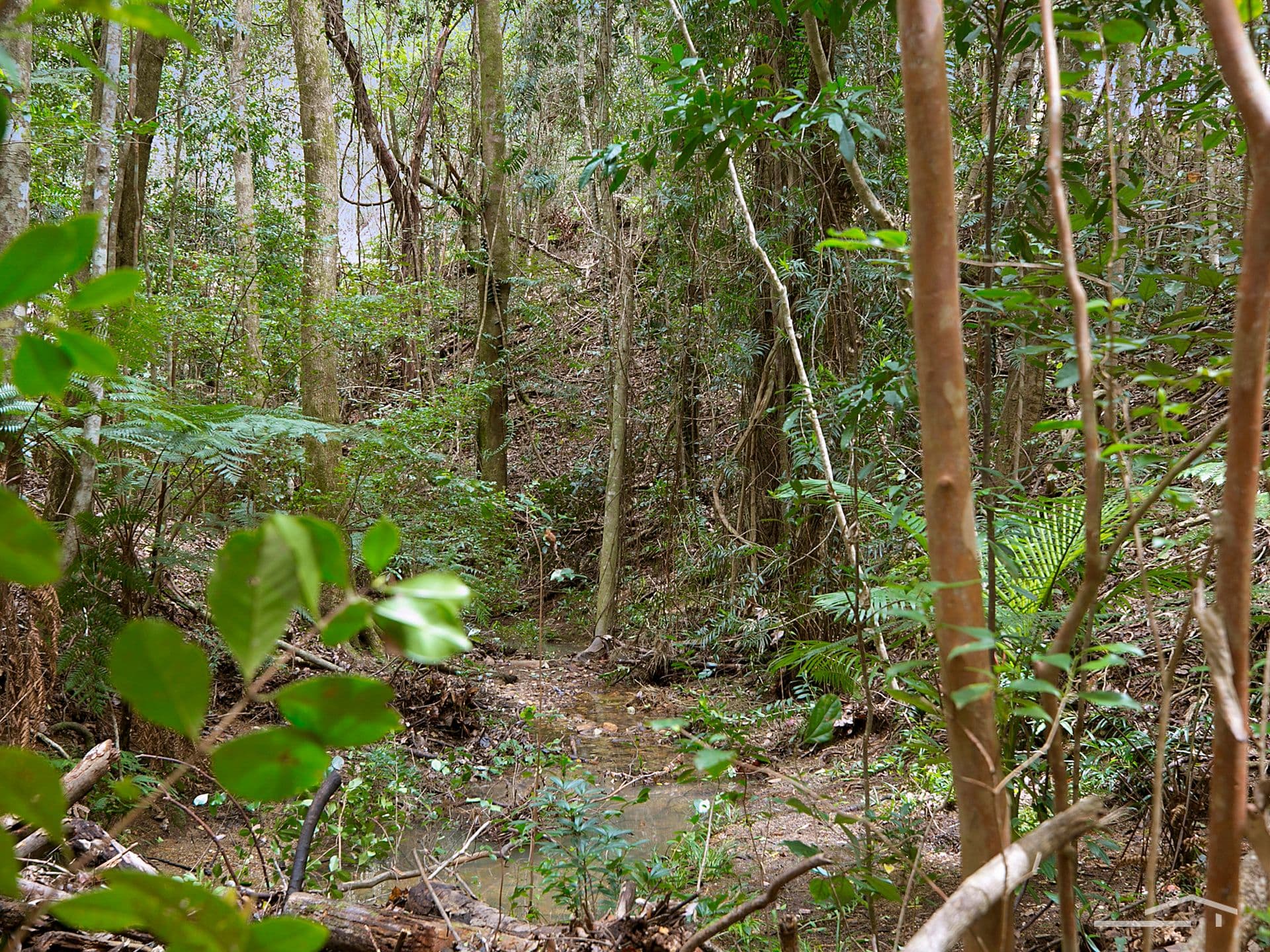 195 Sunrise Road, Eumundi, QLD, 4562, Eumundi - Thumbnail 3
